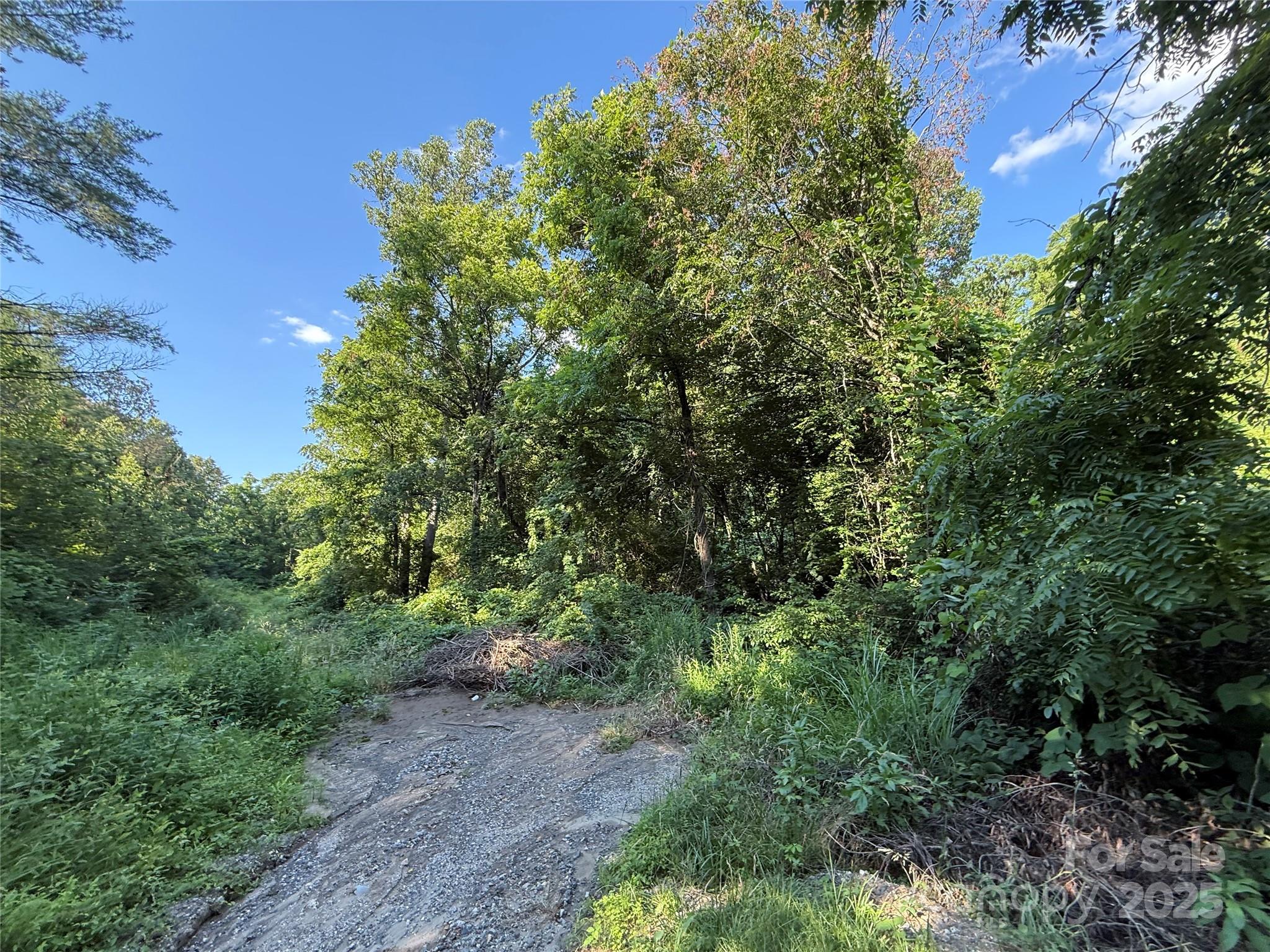 45 Wilde Hollow Drive Property Photo 3