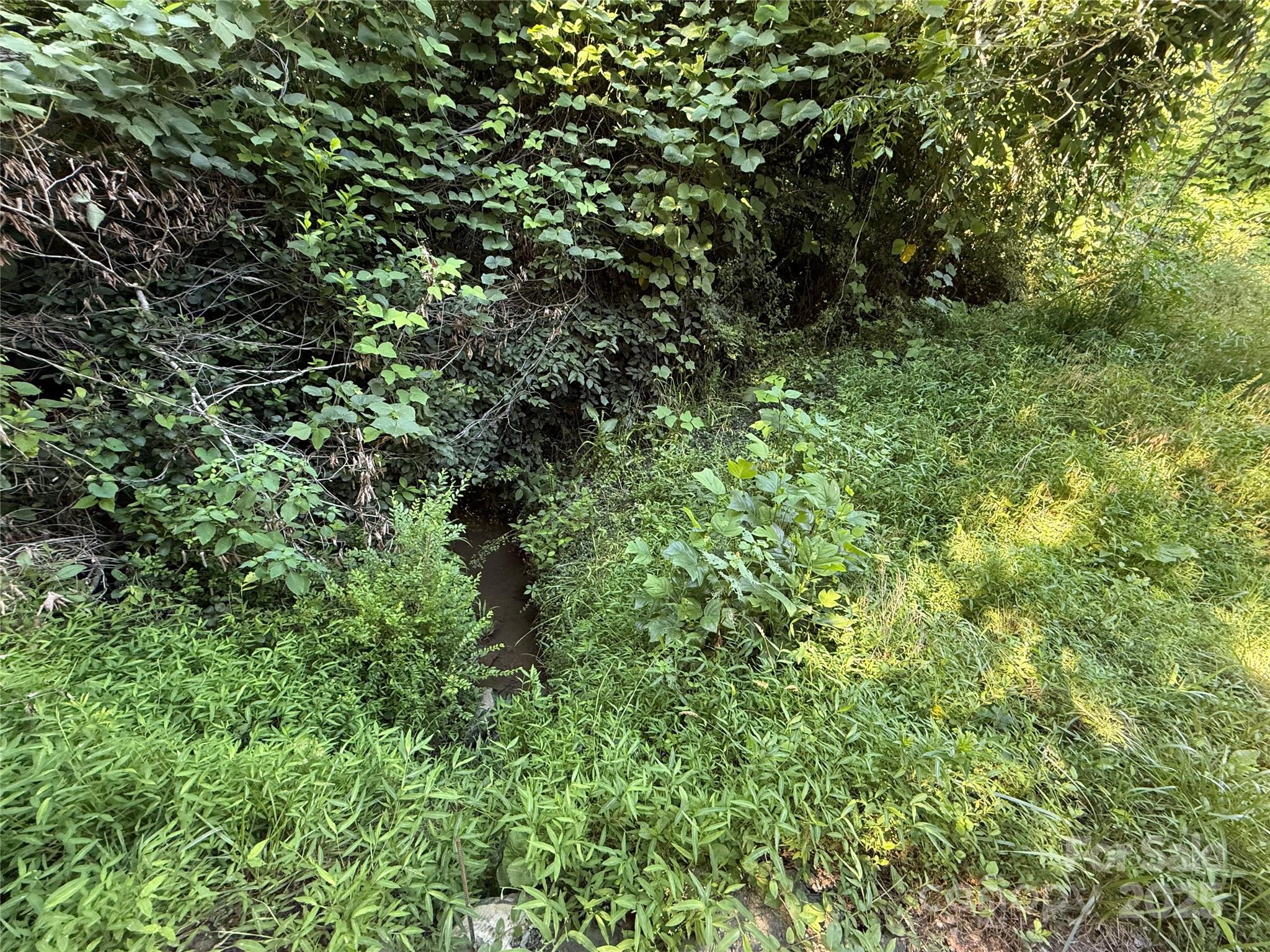 45 Wilde Hollow Drive Property Photo 4