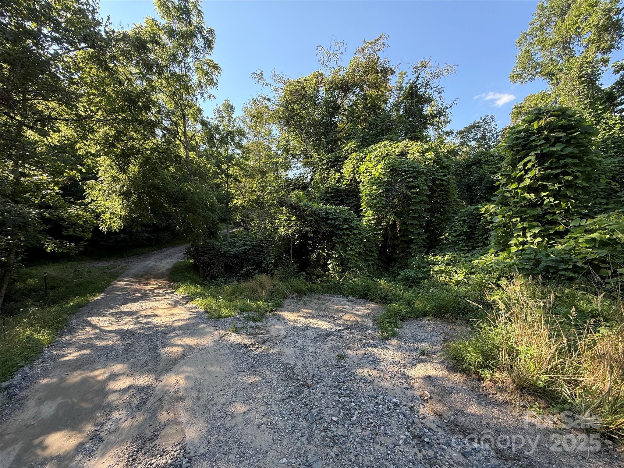 45 Wilde Hollow Drive Property Photo 6