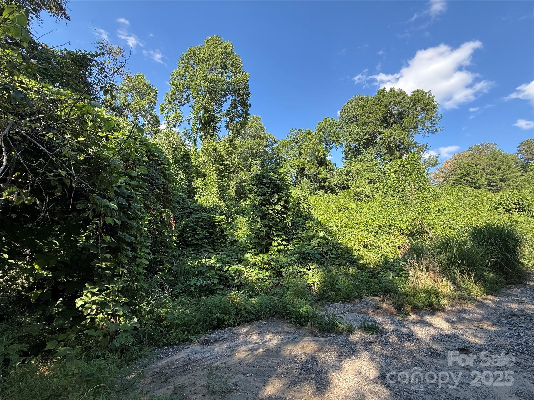 45 Wilde Hollow Drive Property Photo 7