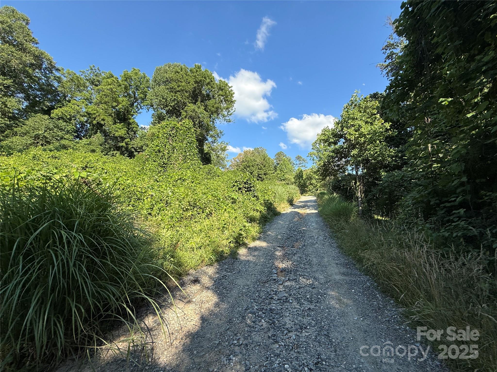 45 Wilde Hollow Drive Property Photo 8