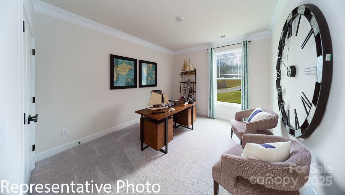 7649 Bainbridge Road Property Photo 17