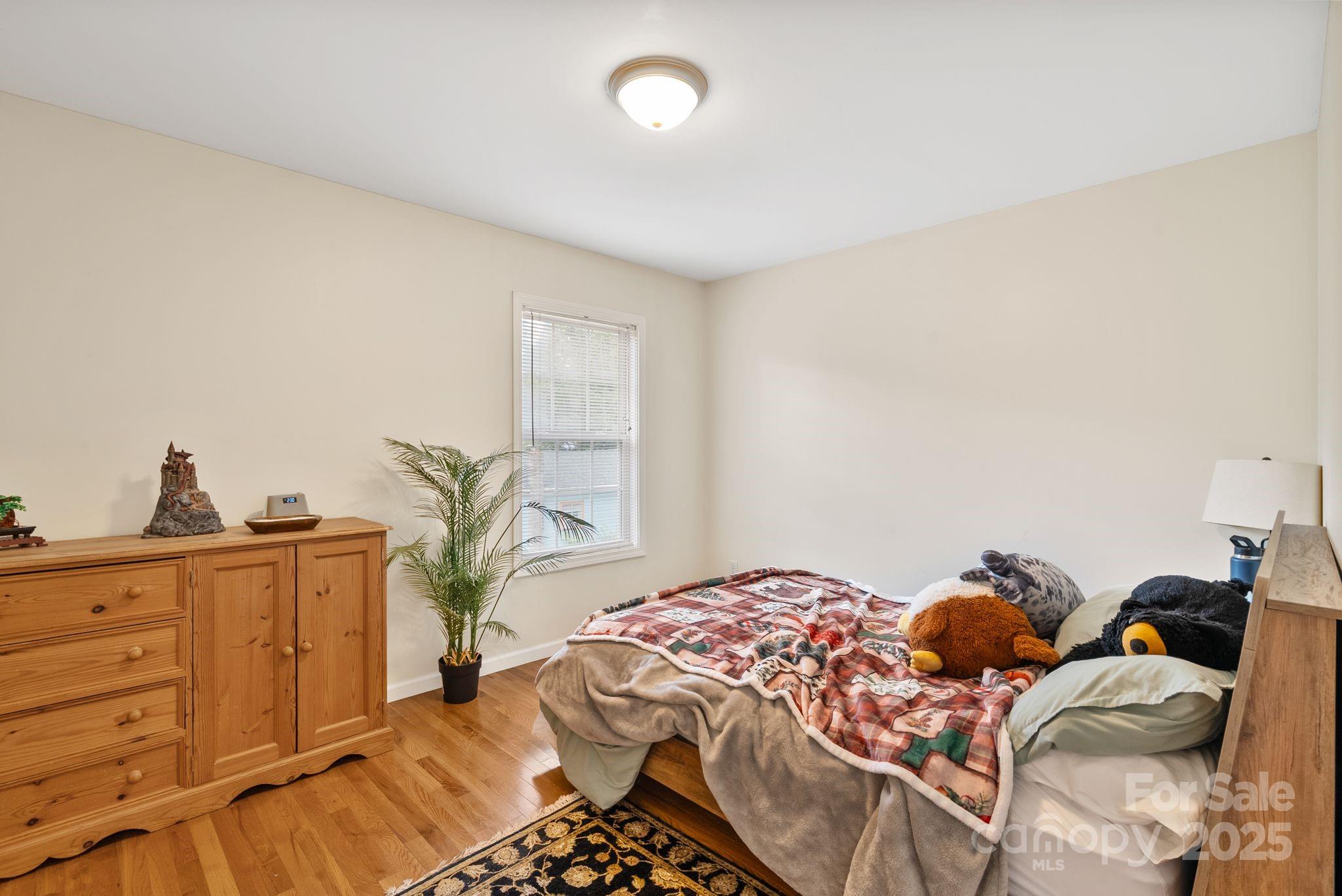 212 & 214 Portmanvilla Road Property Photo 43