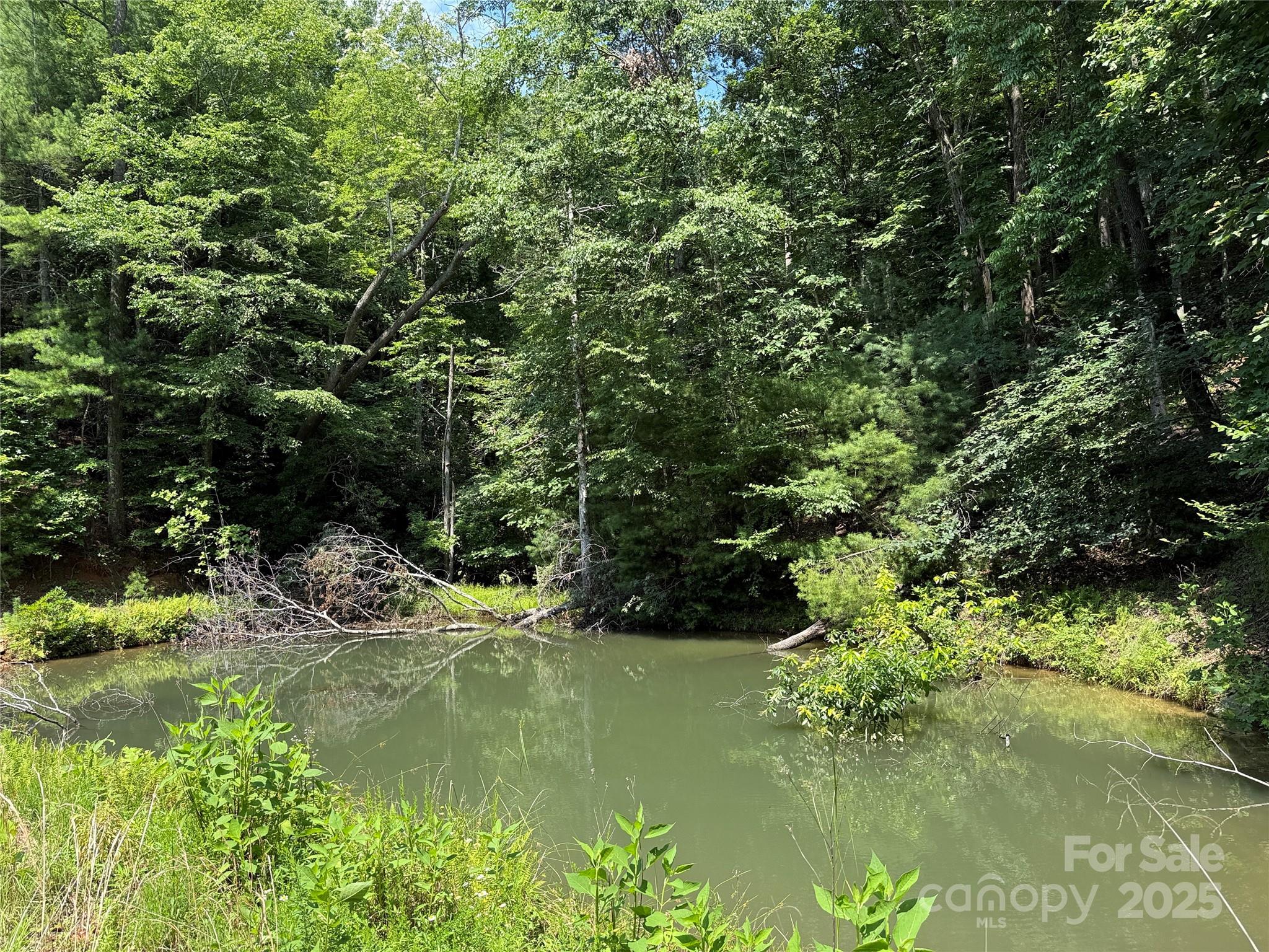 Tbd Staghorn Road Property Photo 1