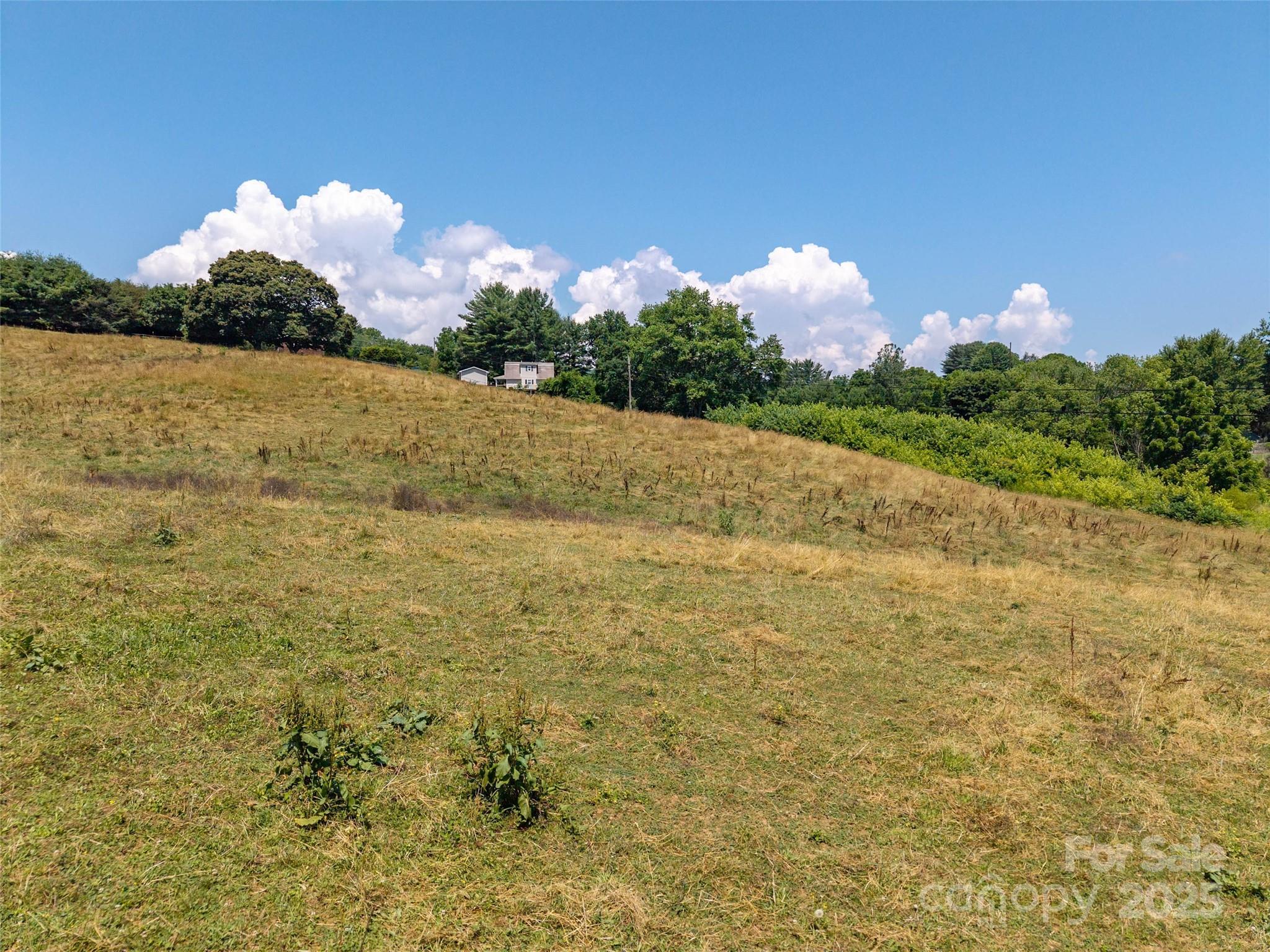 00 Summer Breeze Drive Property Photo 5