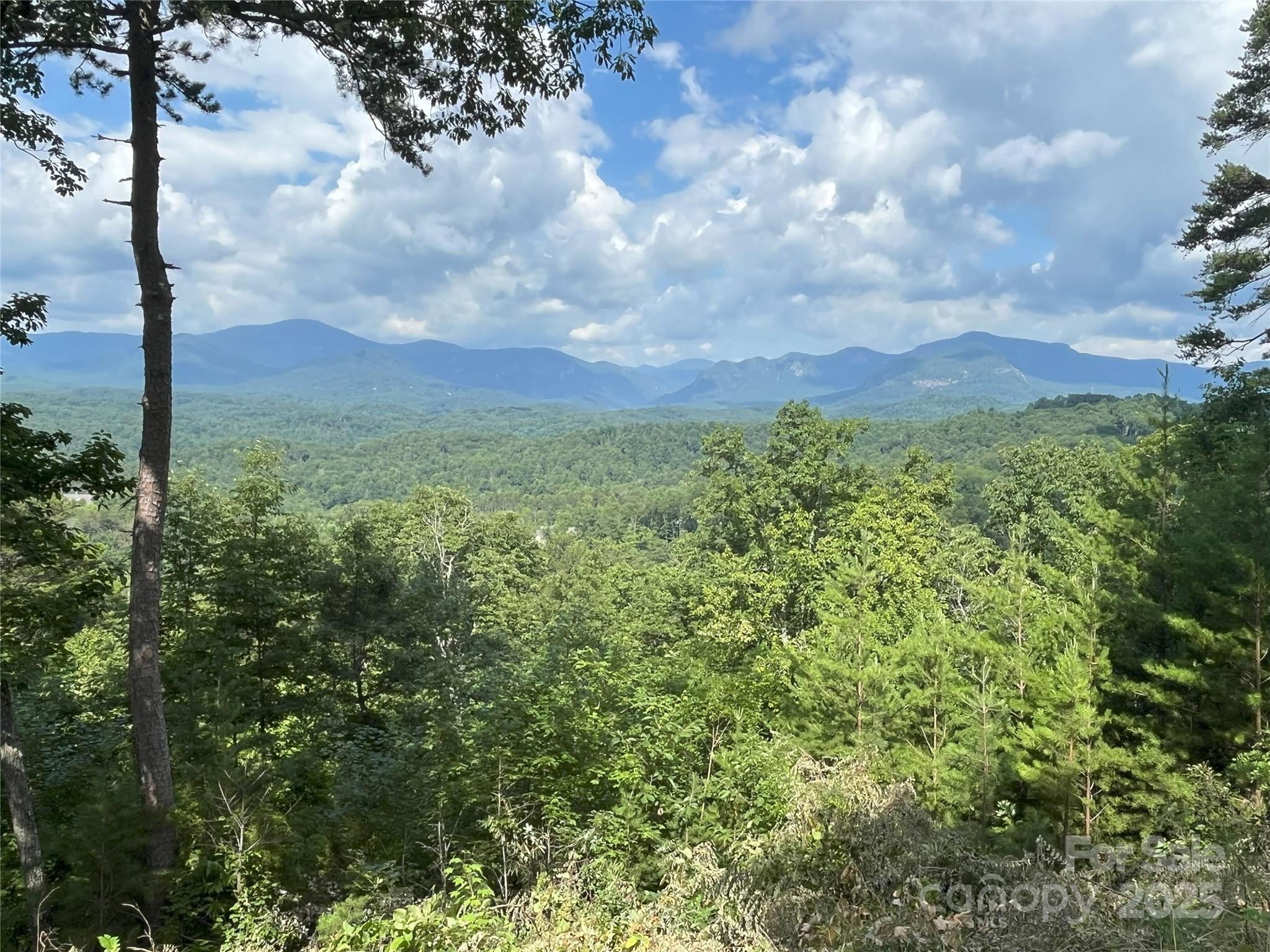 00 Bills Mountain Trail 6 Property Photo 1