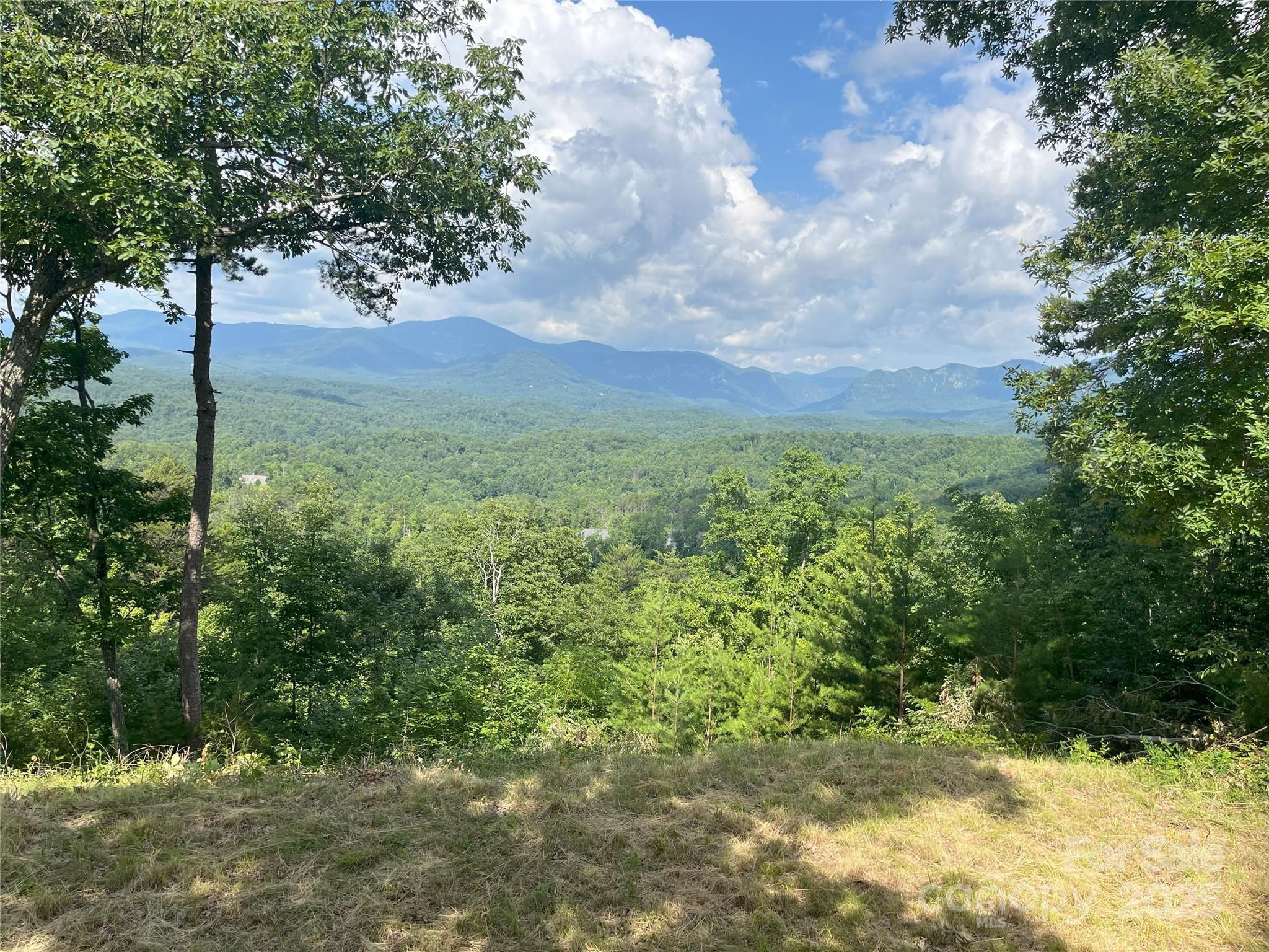 00 Bills Mountain Trail 6 Property Photo 2