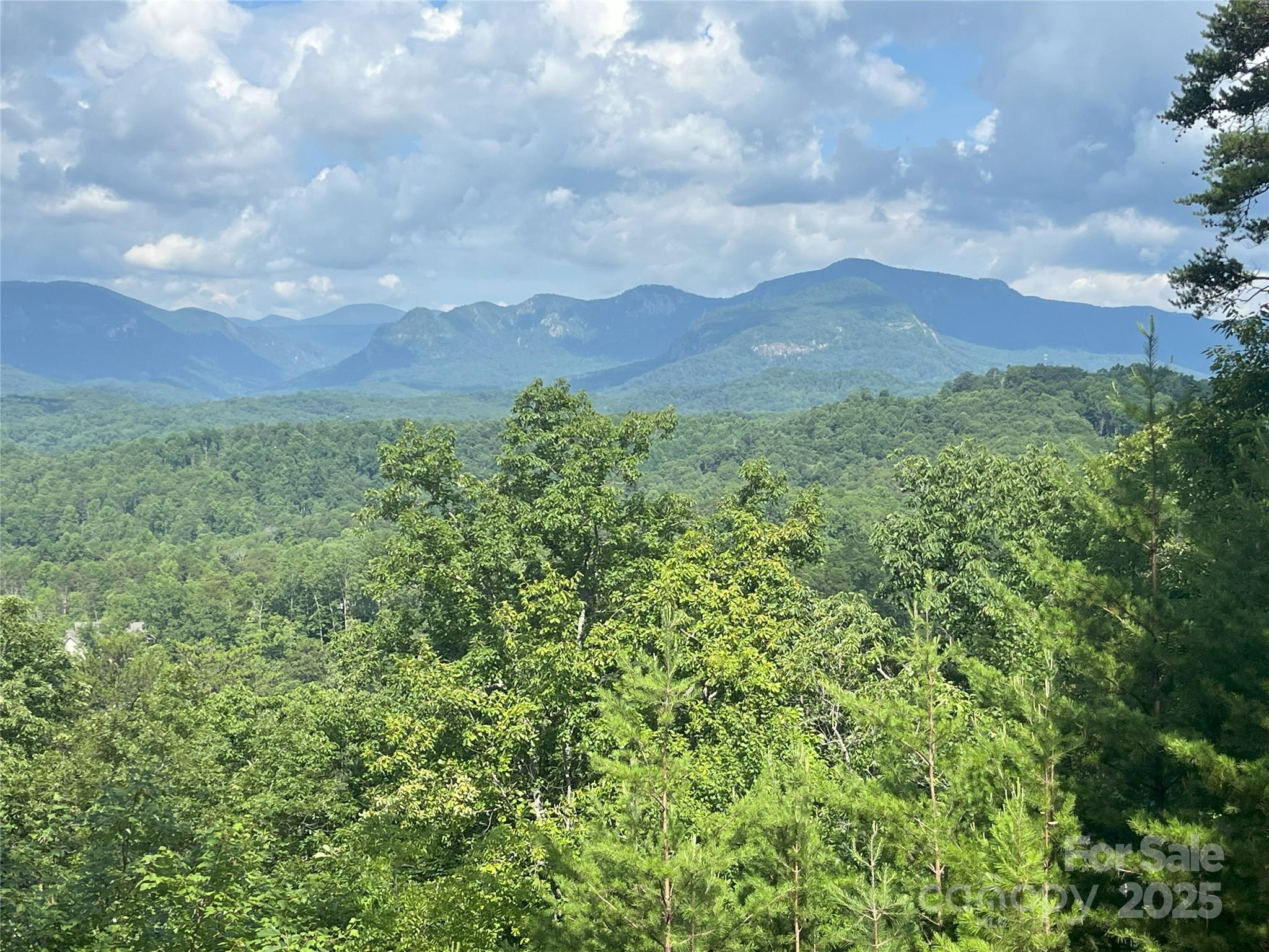 00 Bills Mountain Trail 6 Property Photo 3