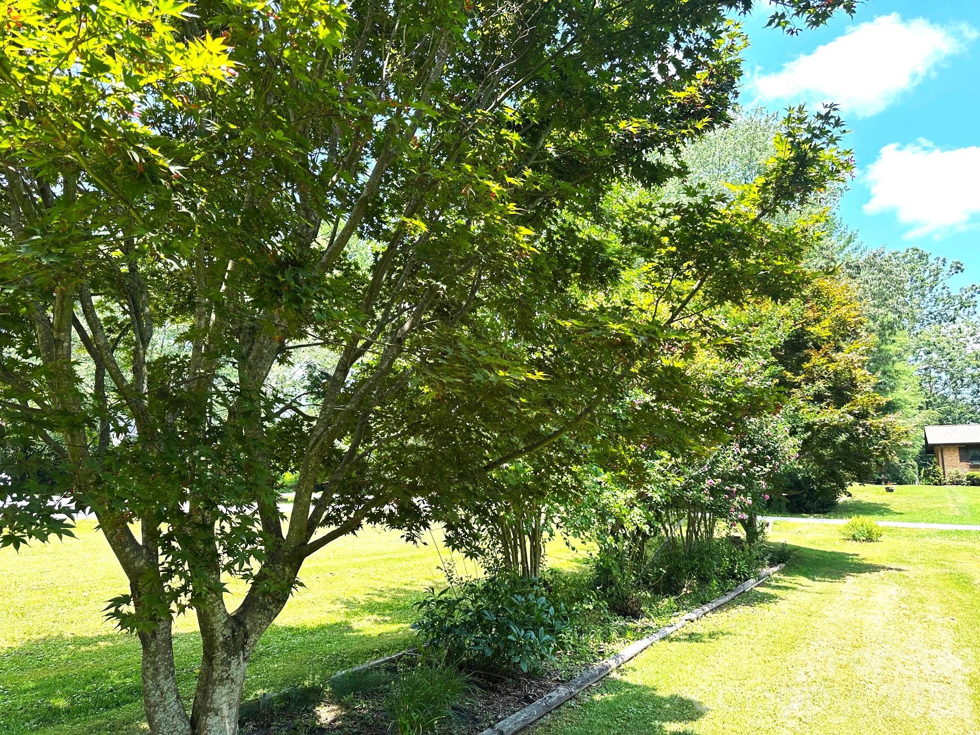 25 Norman Road Property Photo 43