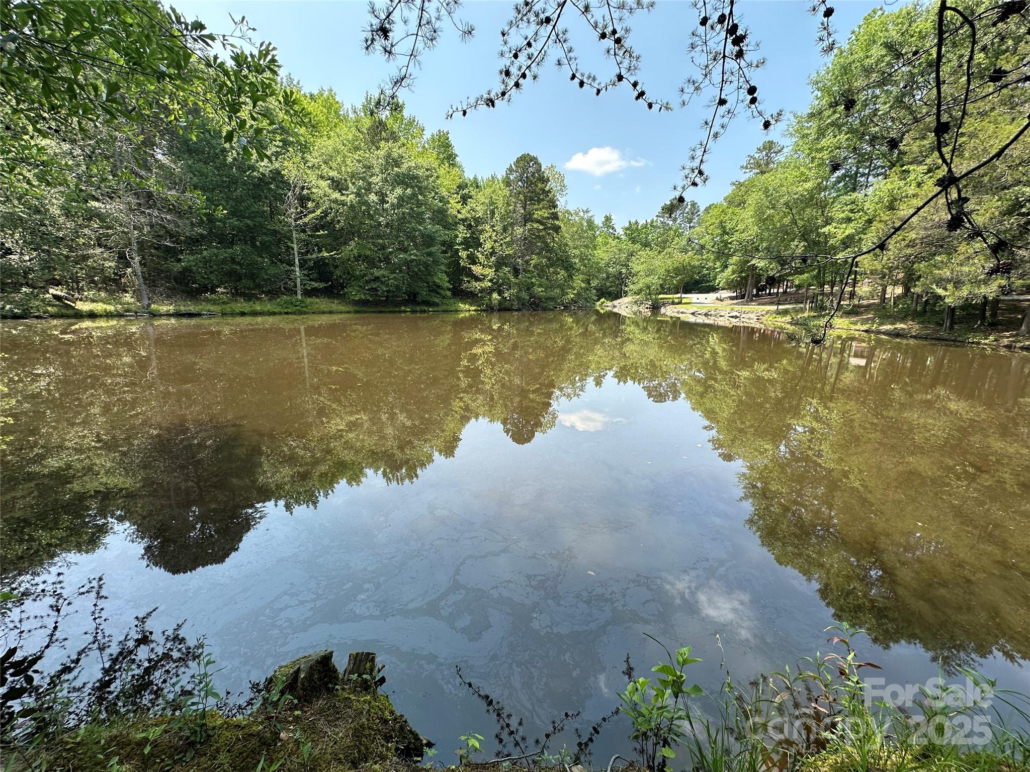 11325 Rozzelles Ferry Road Property Photo