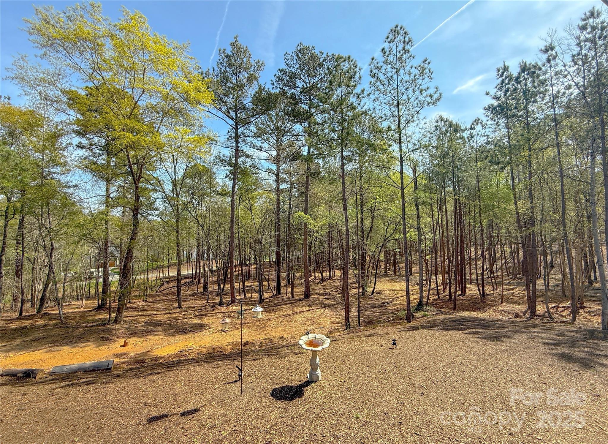 8333 Catawba Cove Drive 9 Property Photo 30