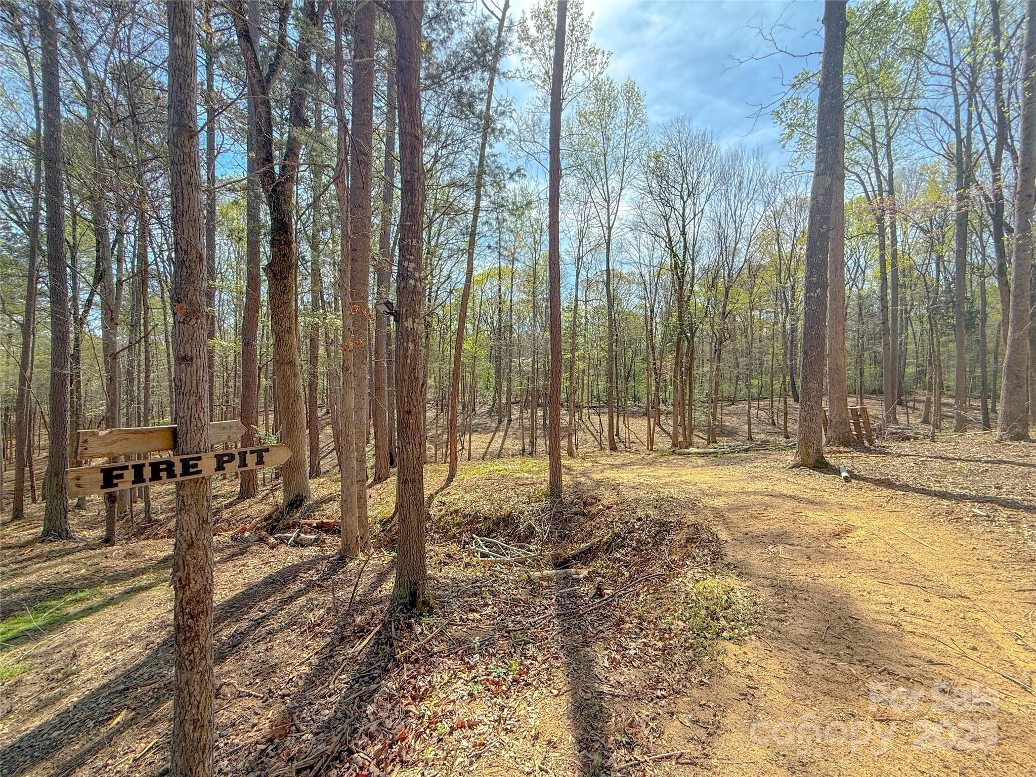 8333 Catawba Cove Drive 9 Property Photo 33