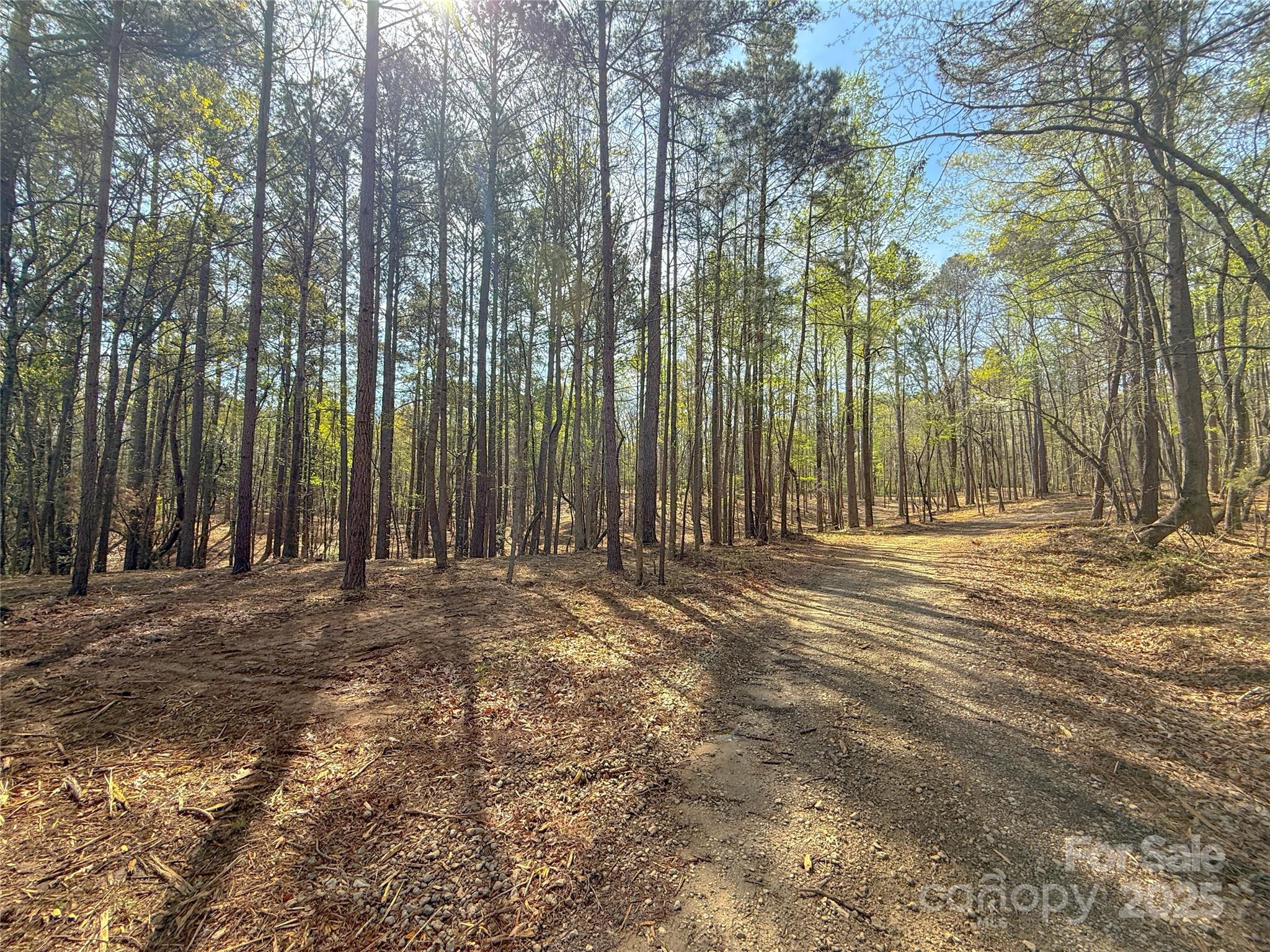 8333 Catawba Cove Drive 9 Property Photo 34