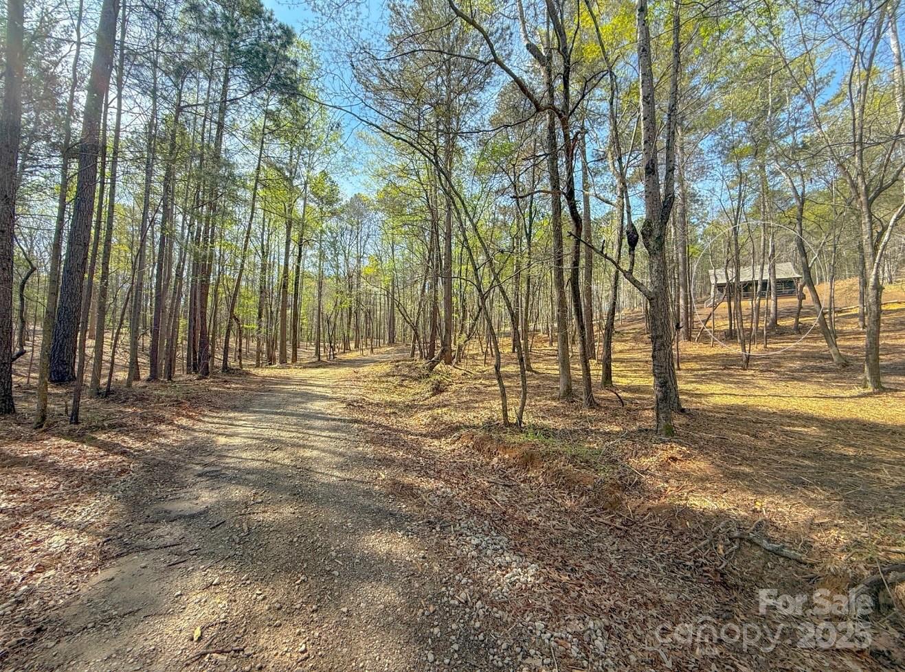 8333 Catawba Cove Drive 9 Property Photo 35