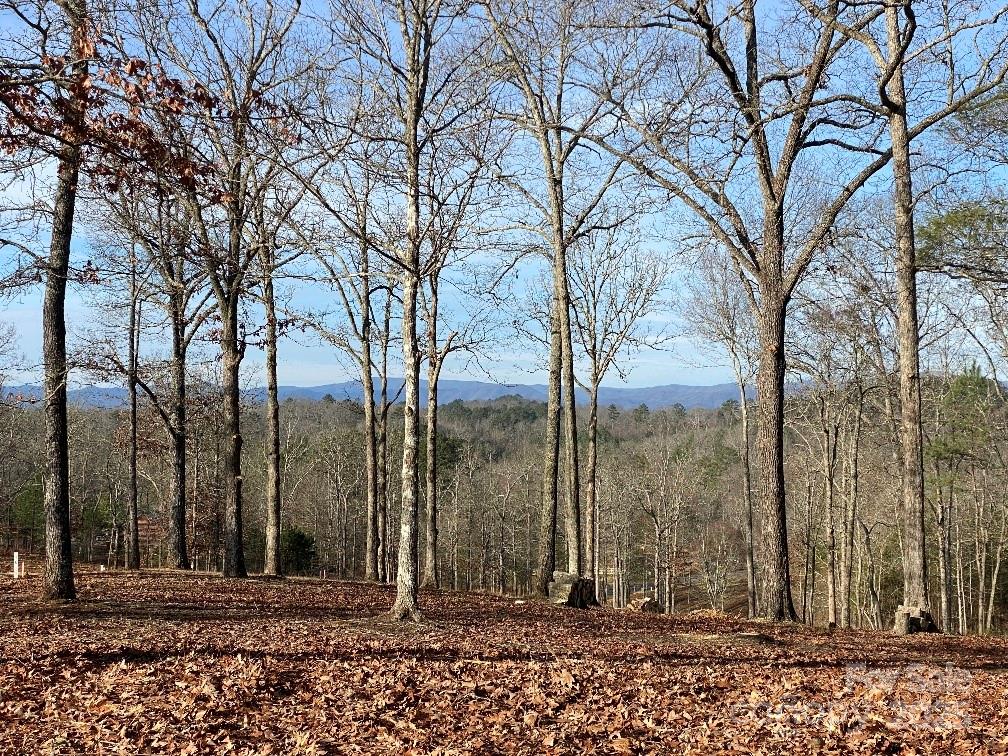 10 Arbor Creek Trail 10 Property Photo 1