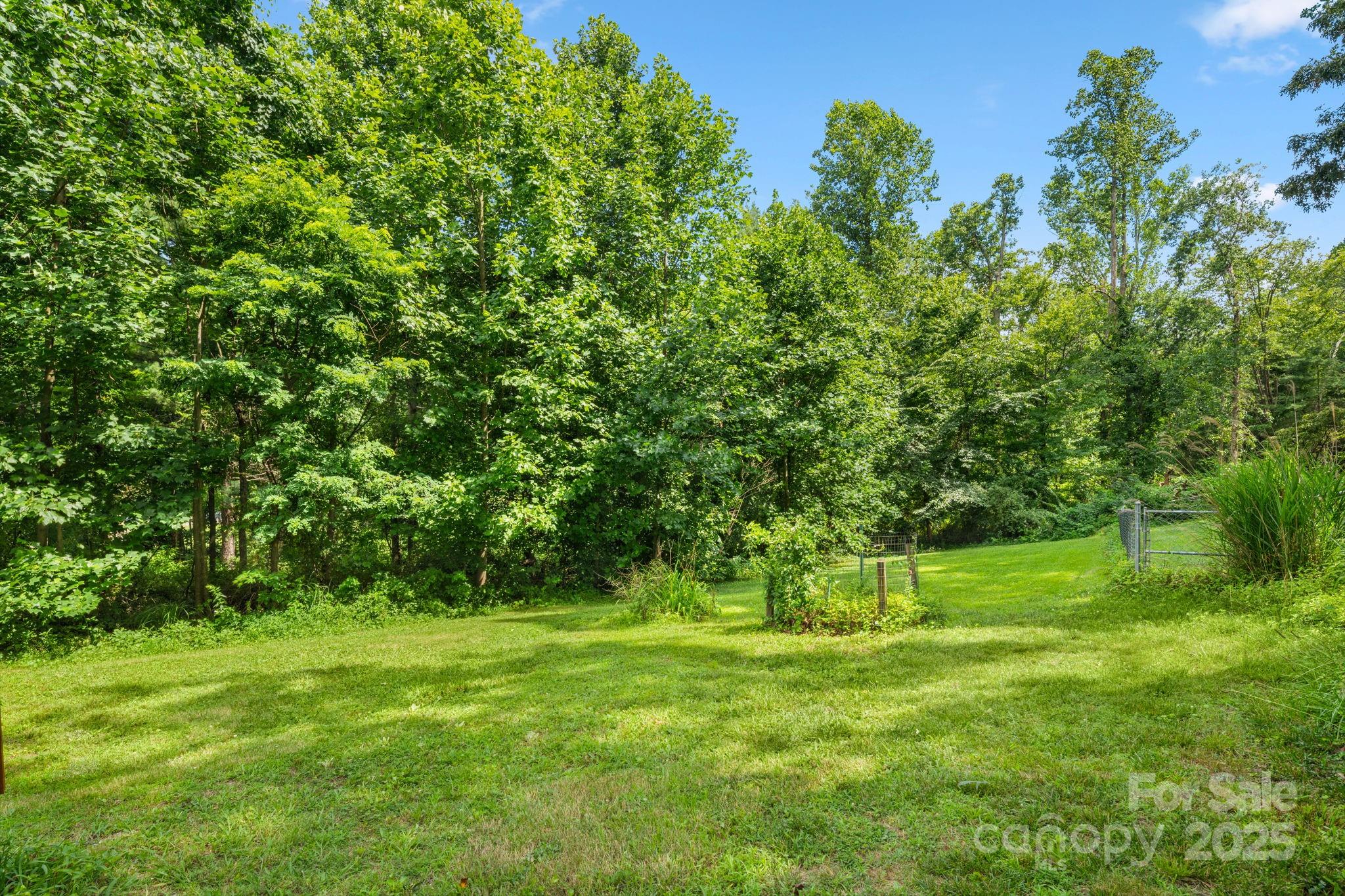 1058 Howard Gap Loop Road Property Photo 26