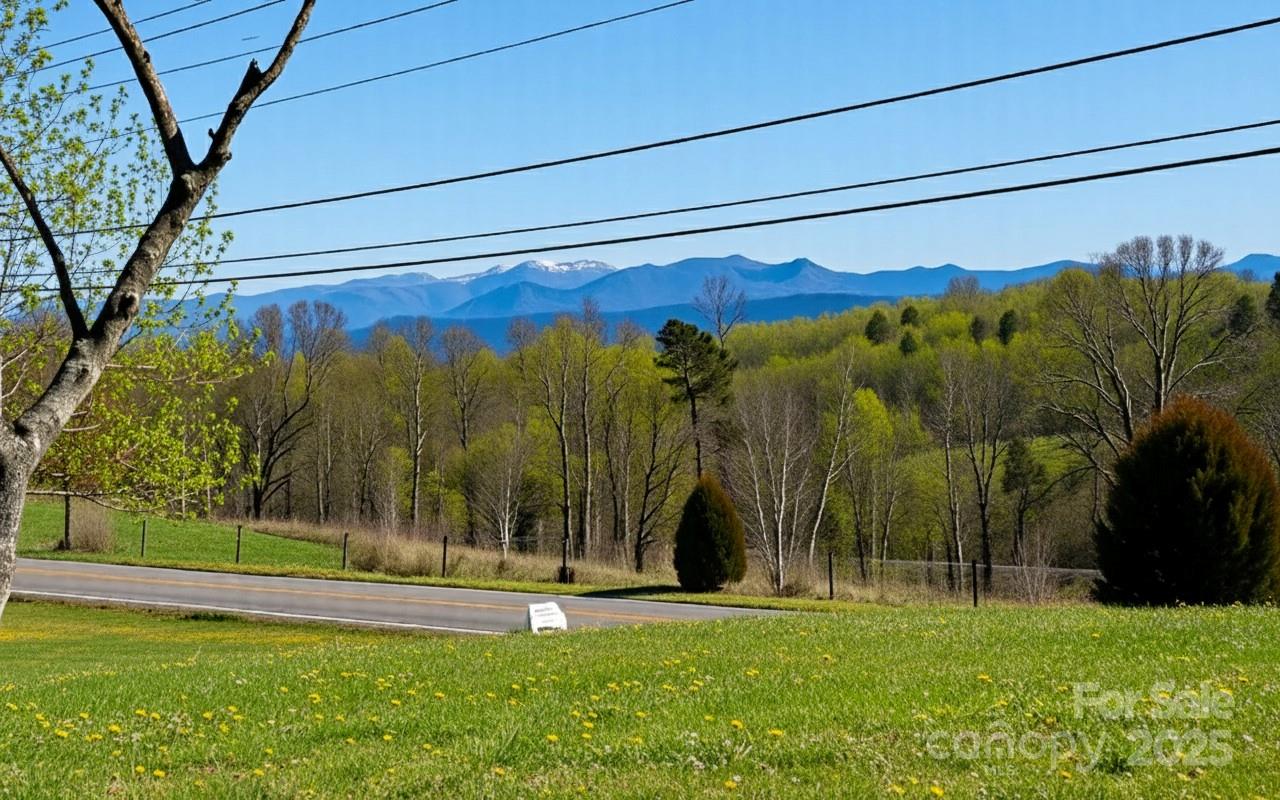 529 Old Newfound Road Property Photo 7