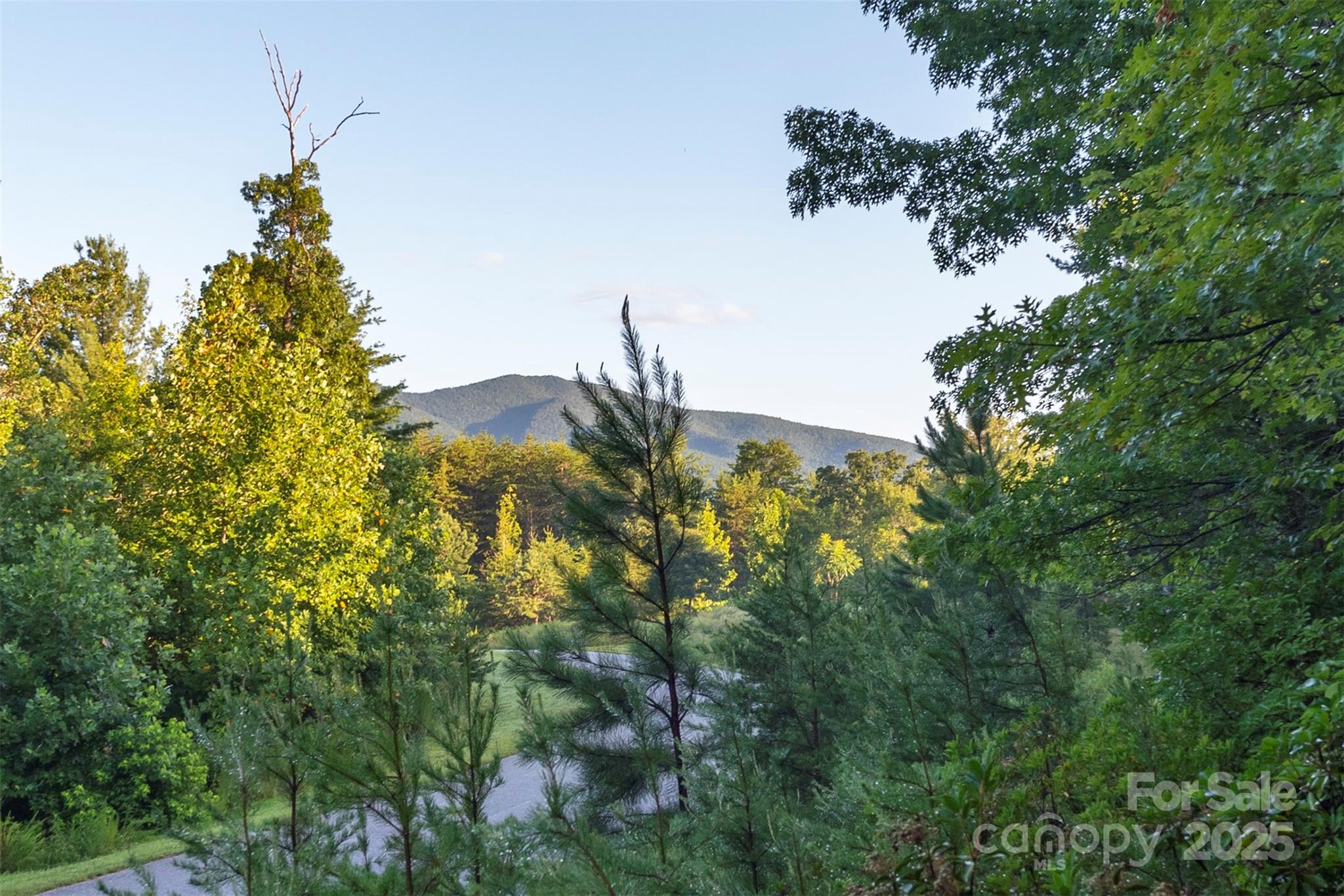 TBD Ridge Point Road 3 Property Photo 1