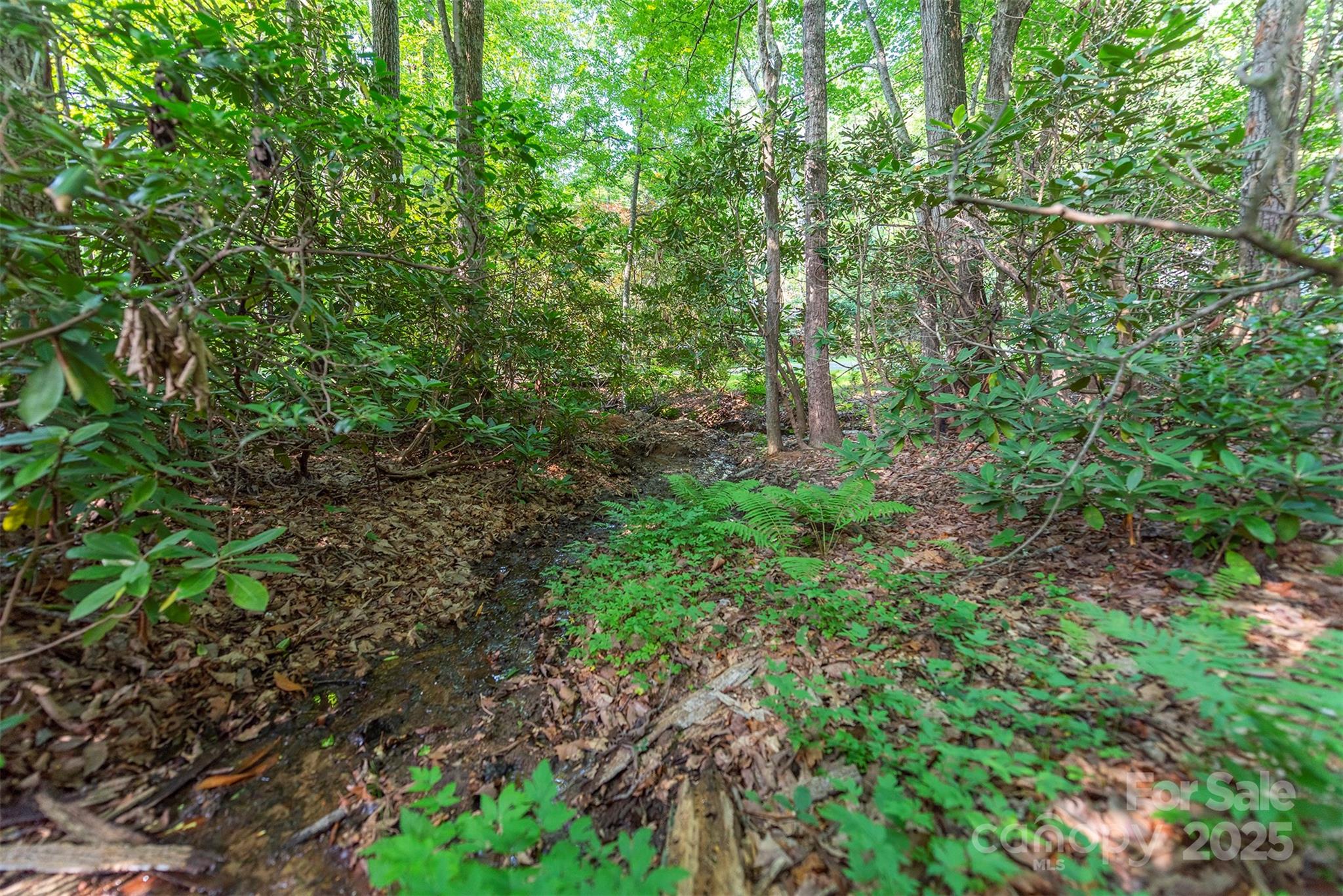 Tbd Mecklenburg Circle Property Photo 1
