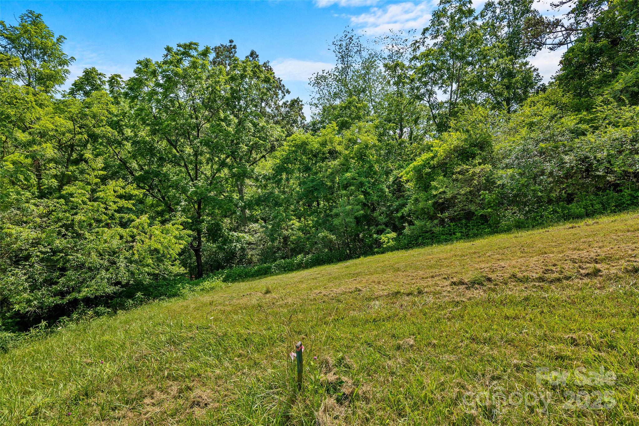 117 Grandview Ridge Drive Property Photo 1