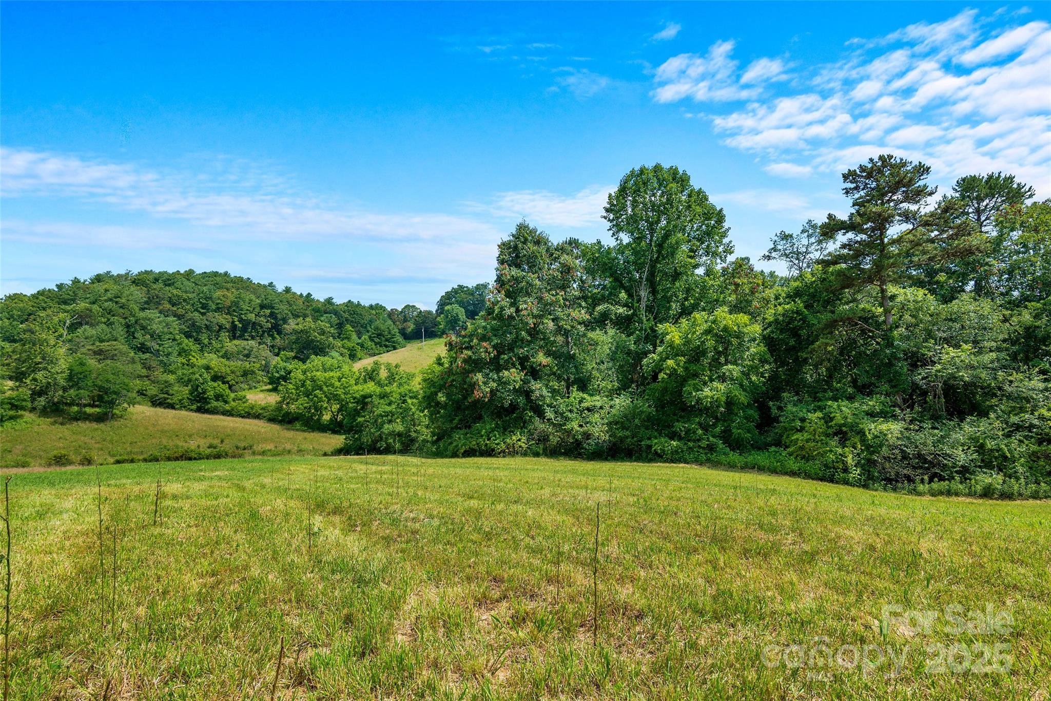 113 & 117 Grandview Ridge Drive Property Photo 1