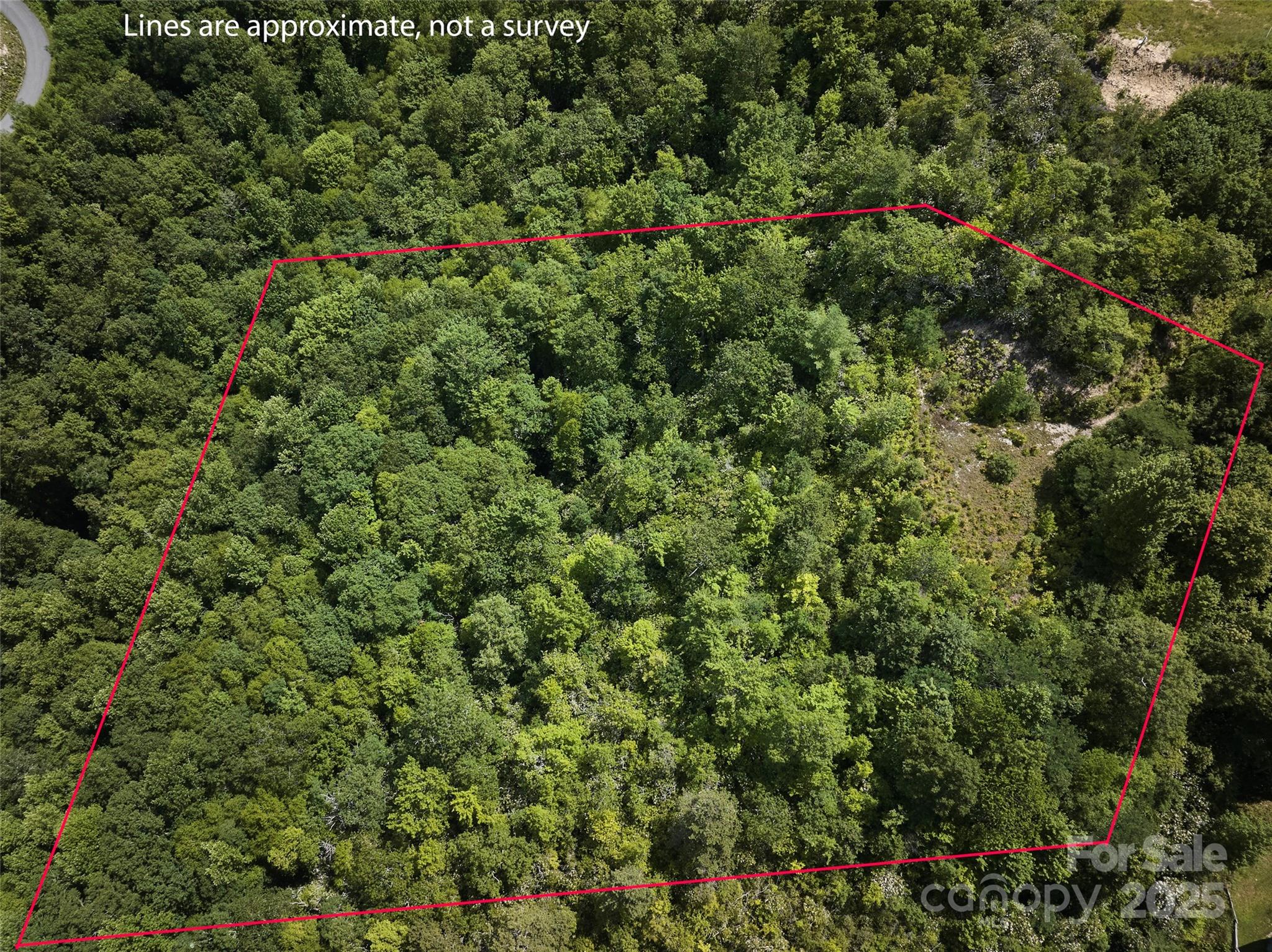Lot 24 Piedmont Way 24 Property Photo 2