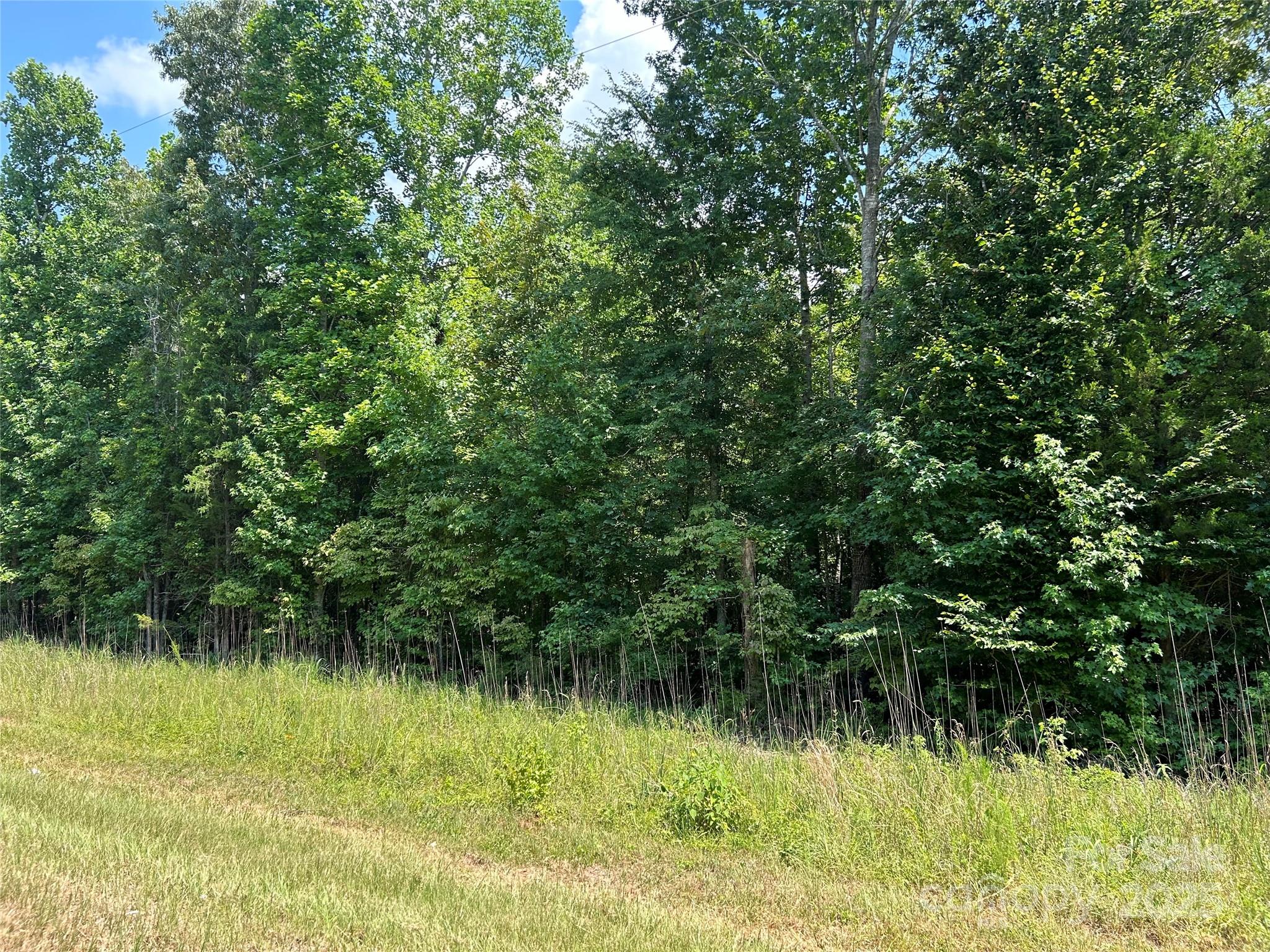 0000 Cabal Road Property Photo 2