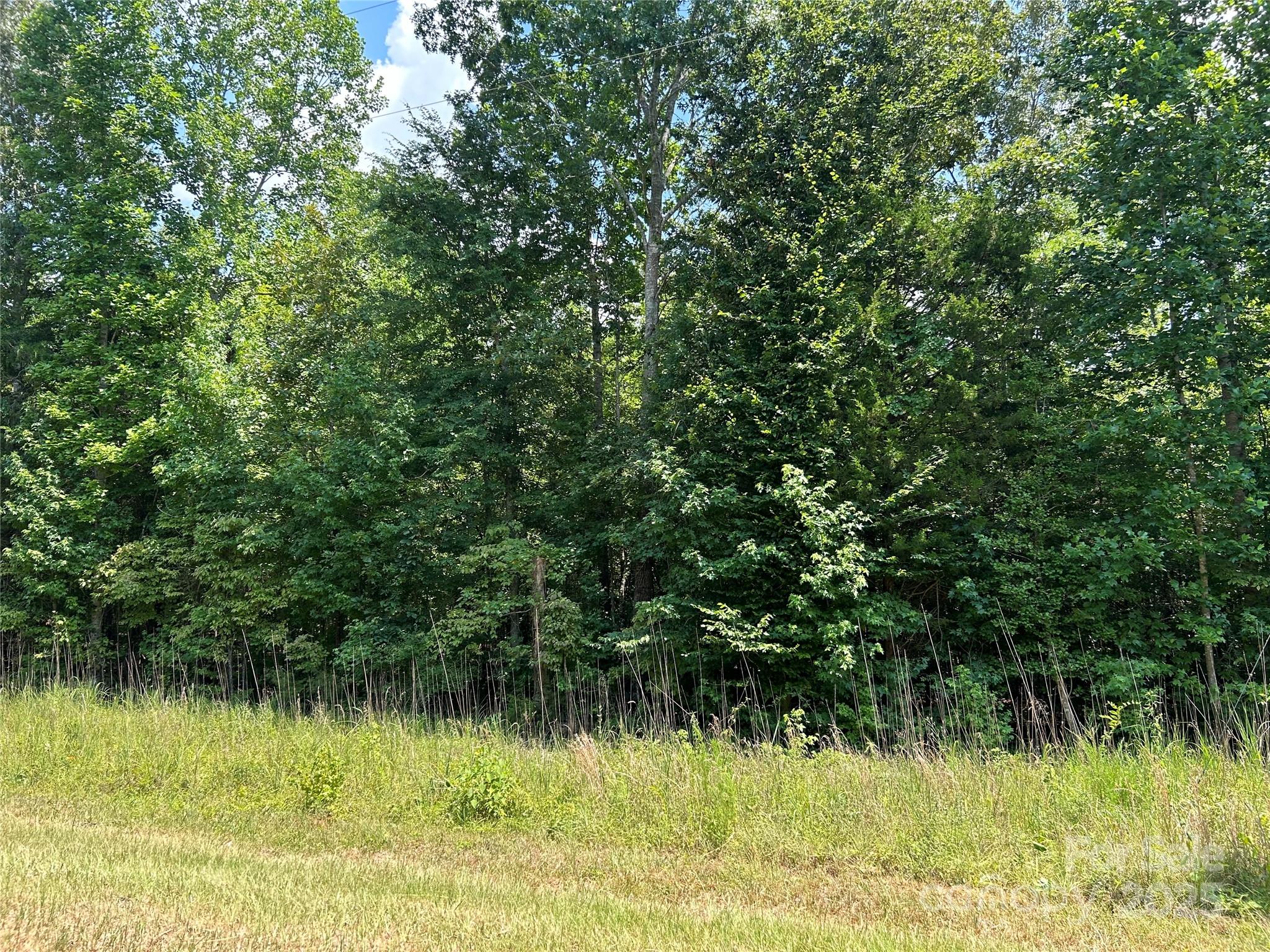 0000 Cabal Road Property Photo 6