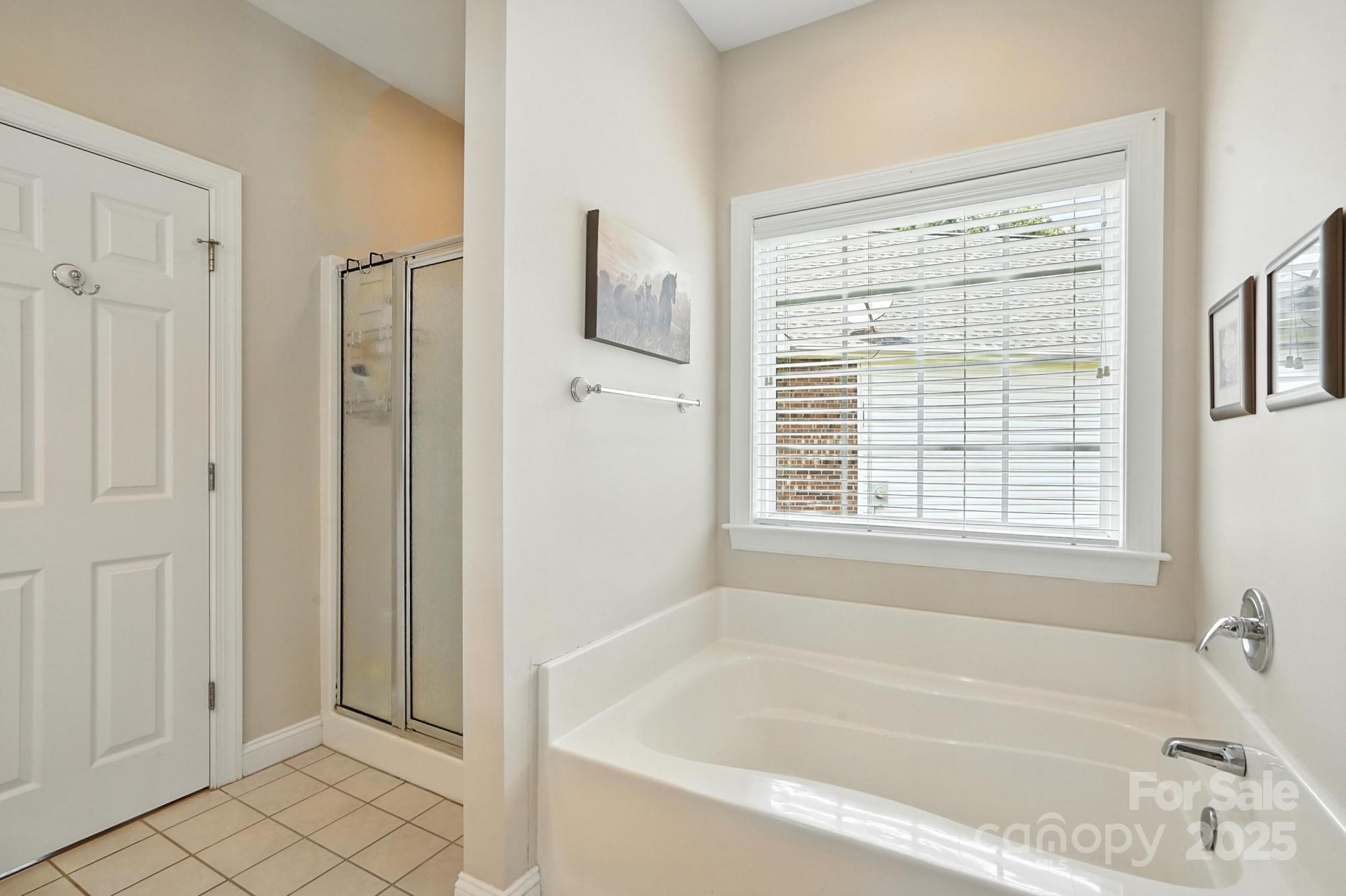 2300 Wednesbury Court Property Photo 16