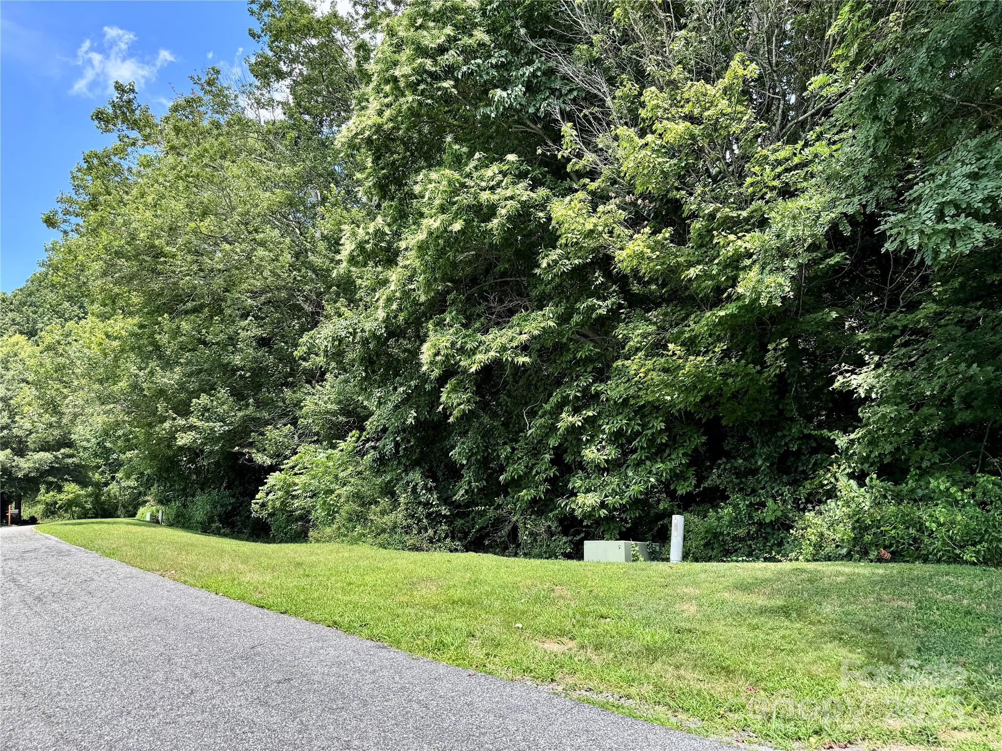 35 Ladys Fern Trail Property Photo 2