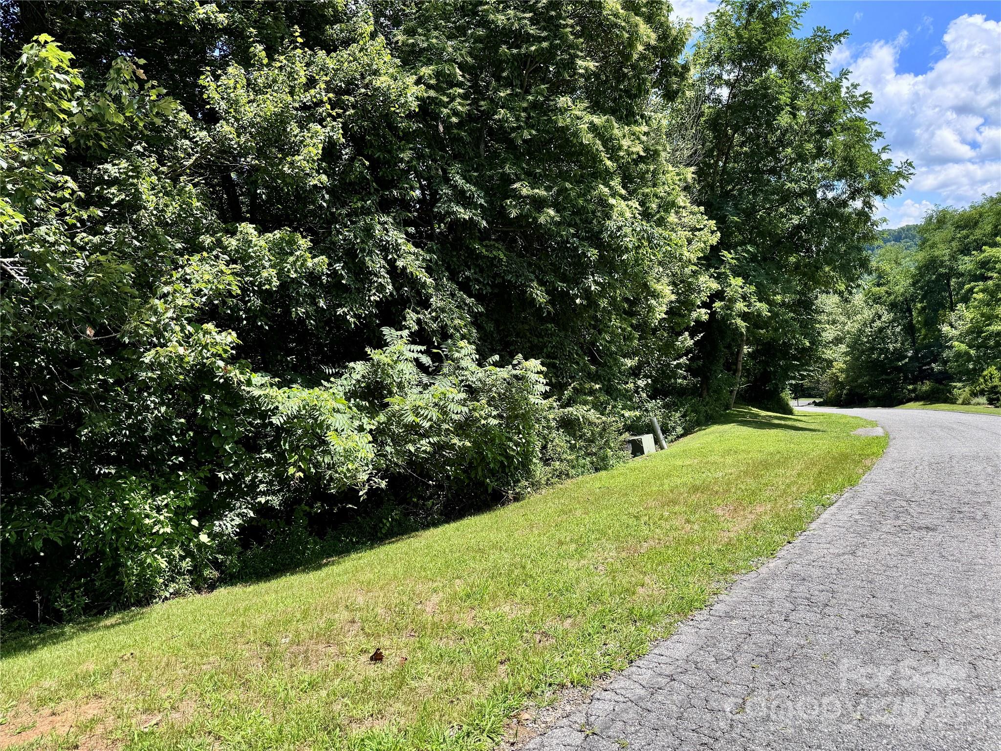 35 Ladys Fern Trail Property Photo 3