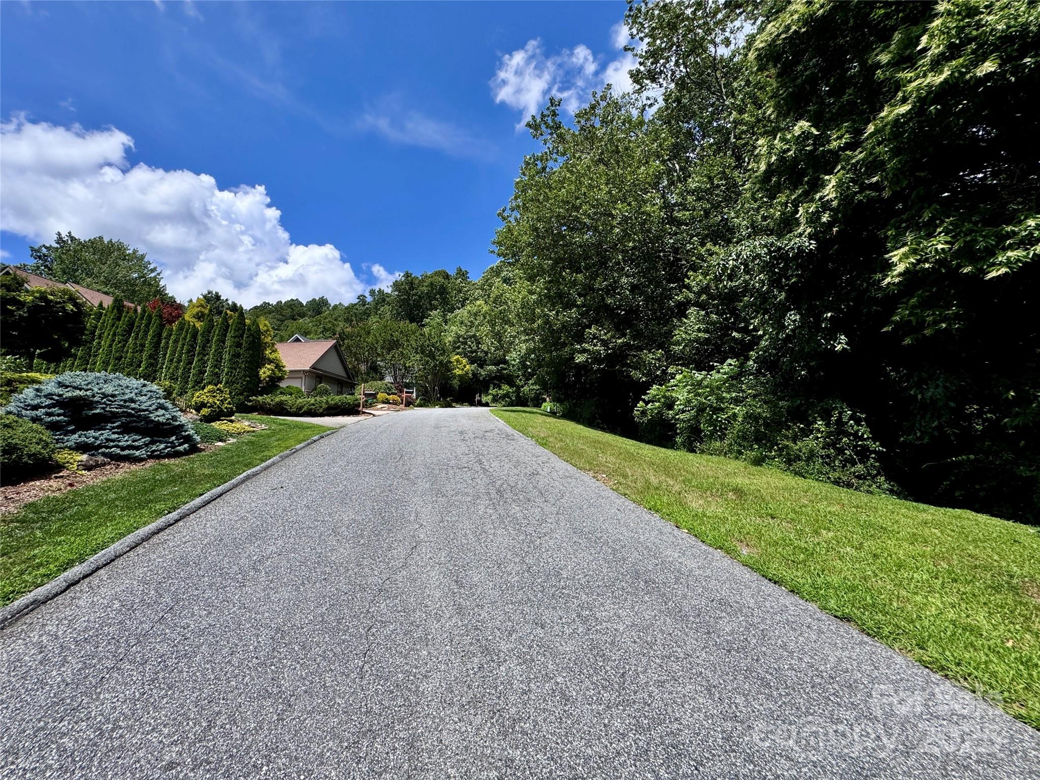 35 Ladys Fern Trail Property Photo 4