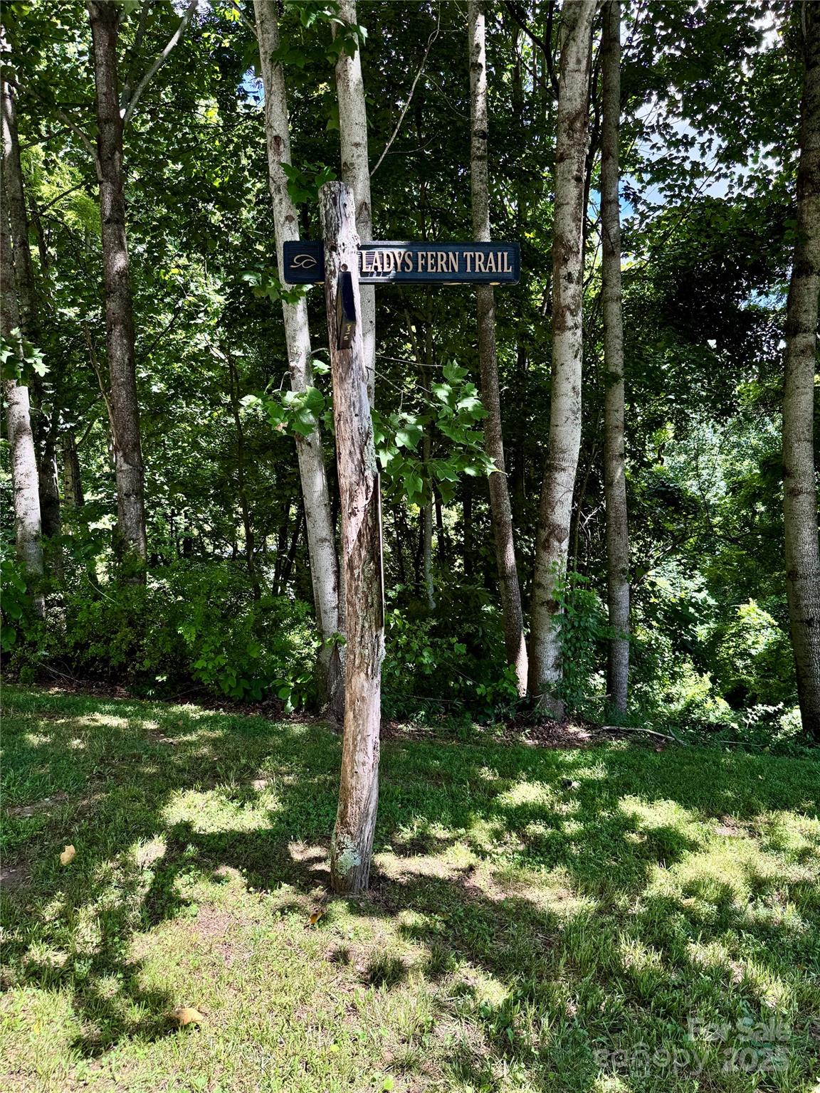 35 Ladys Fern Trail Property Photo 8