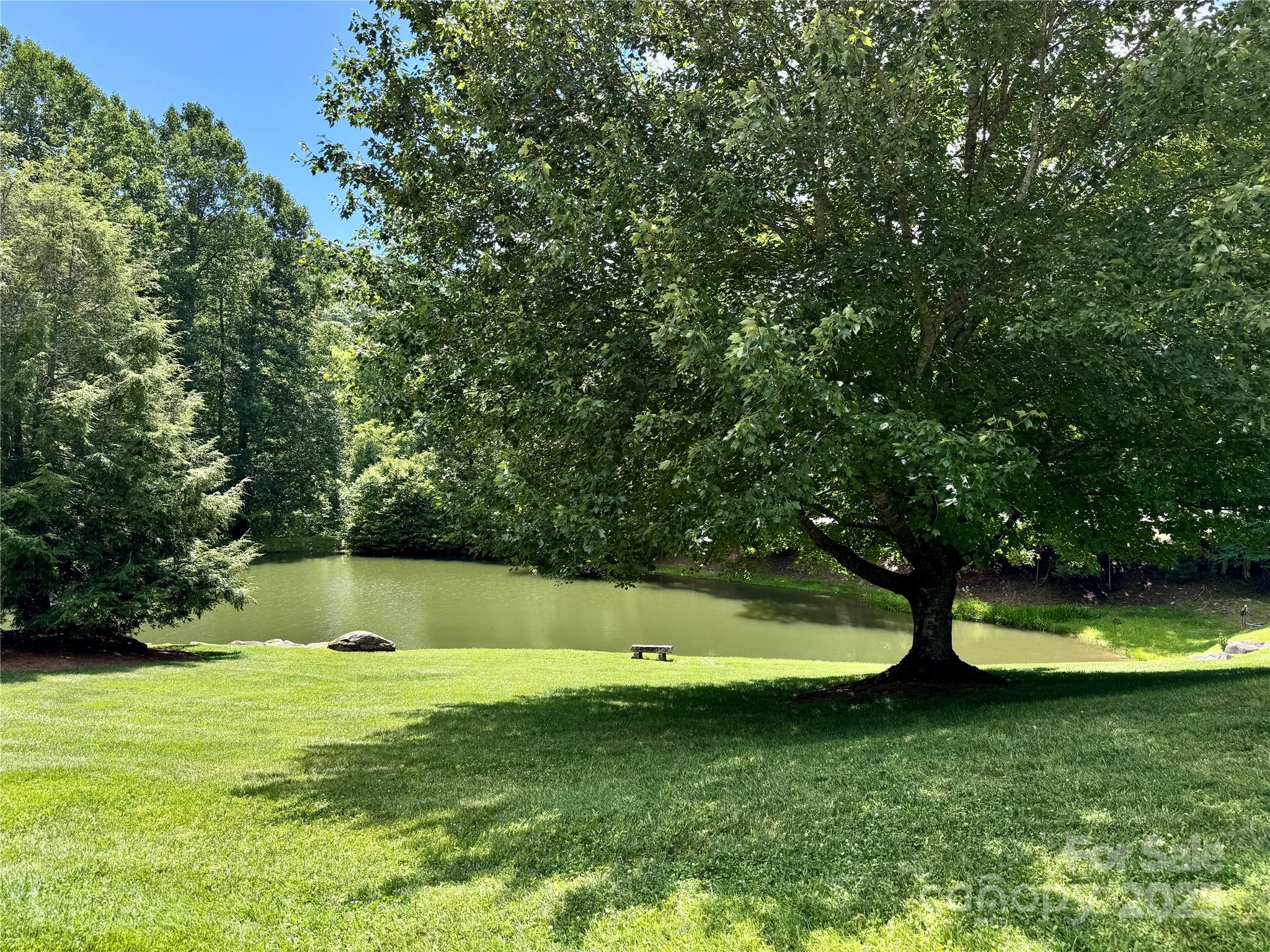 35 Ladys Fern Trail Property Photo 9