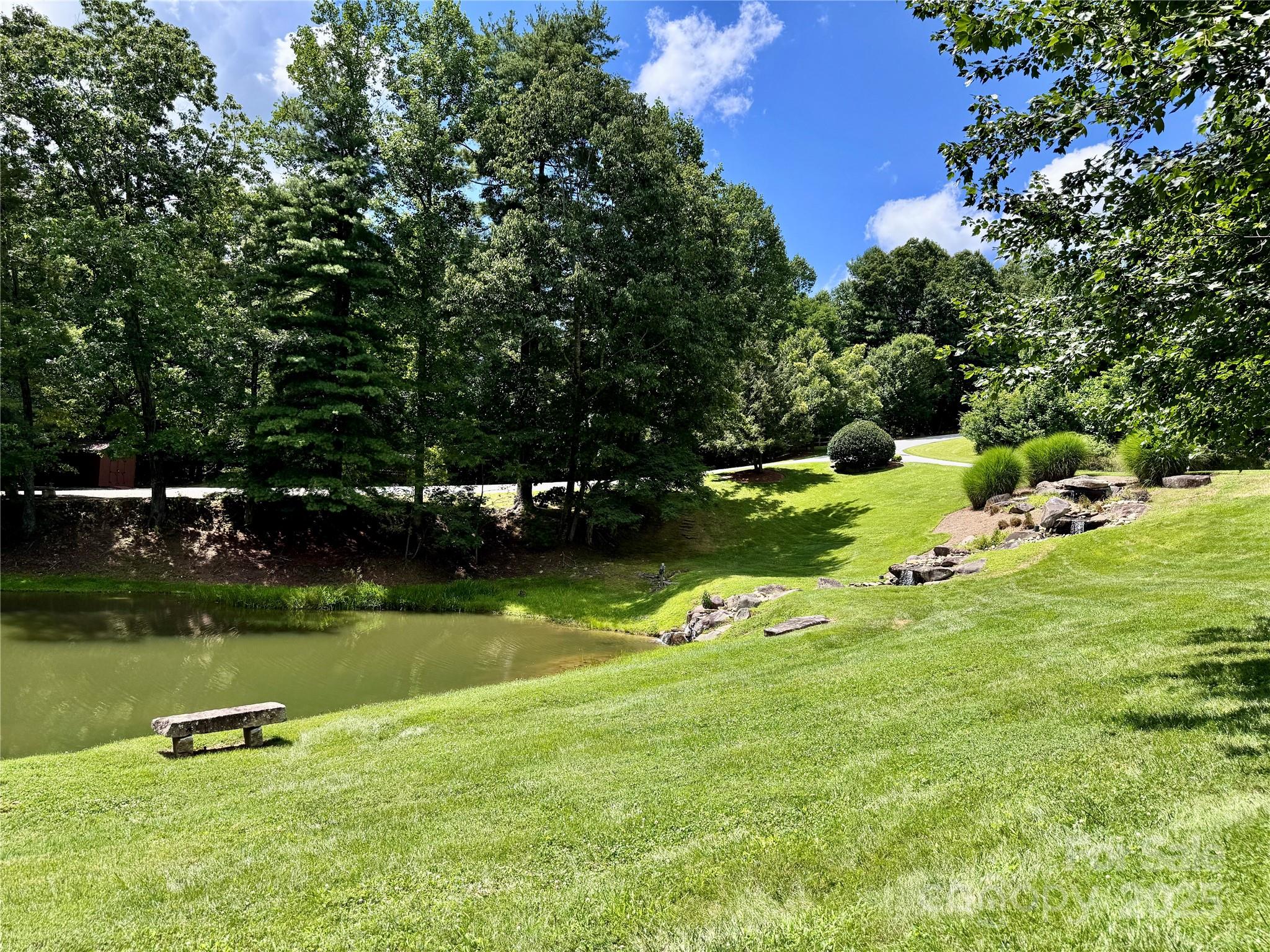 35 Ladys Fern Trail Property Photo 11