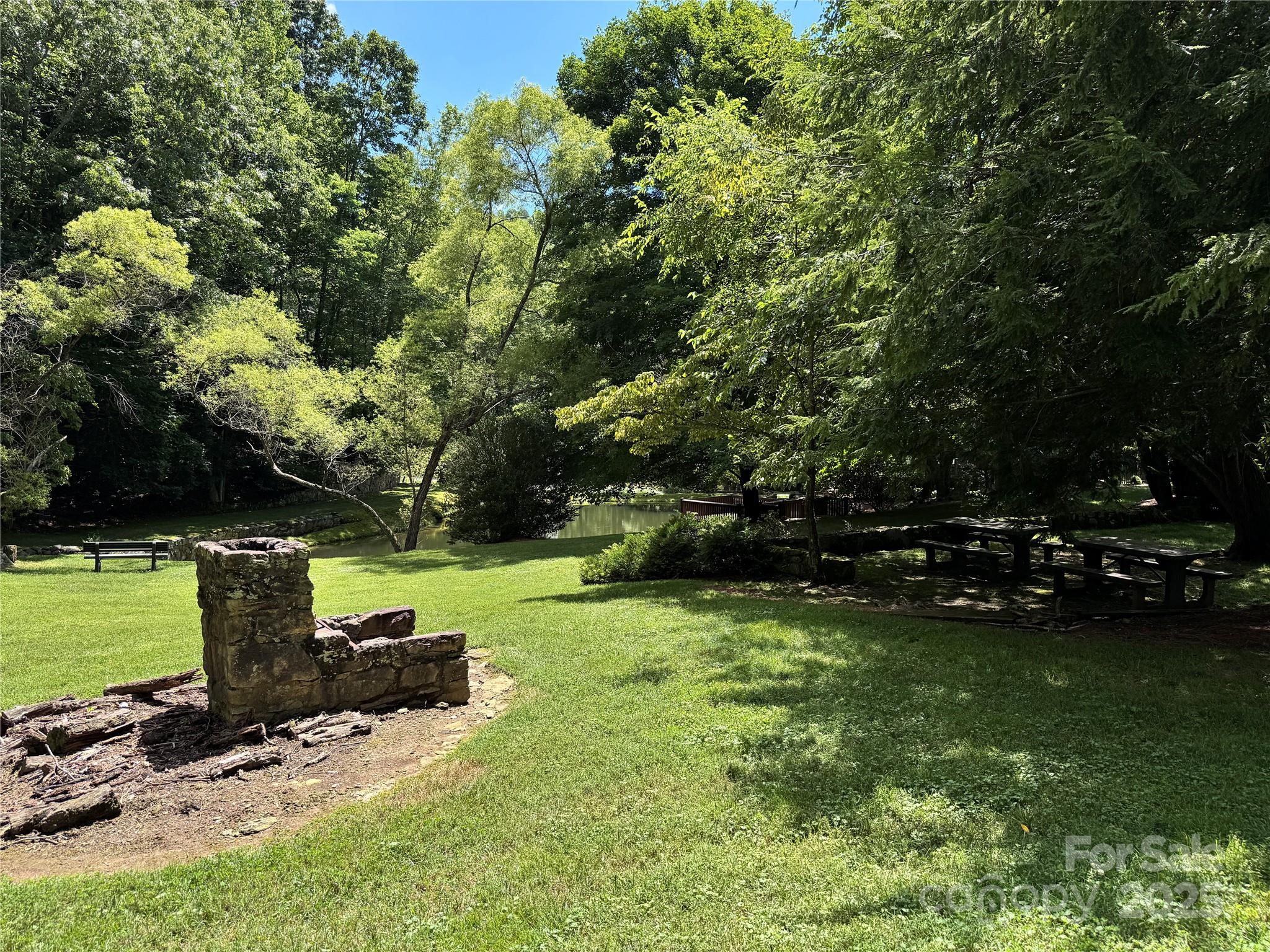 35 Ladys Fern Trail Property Photo 12