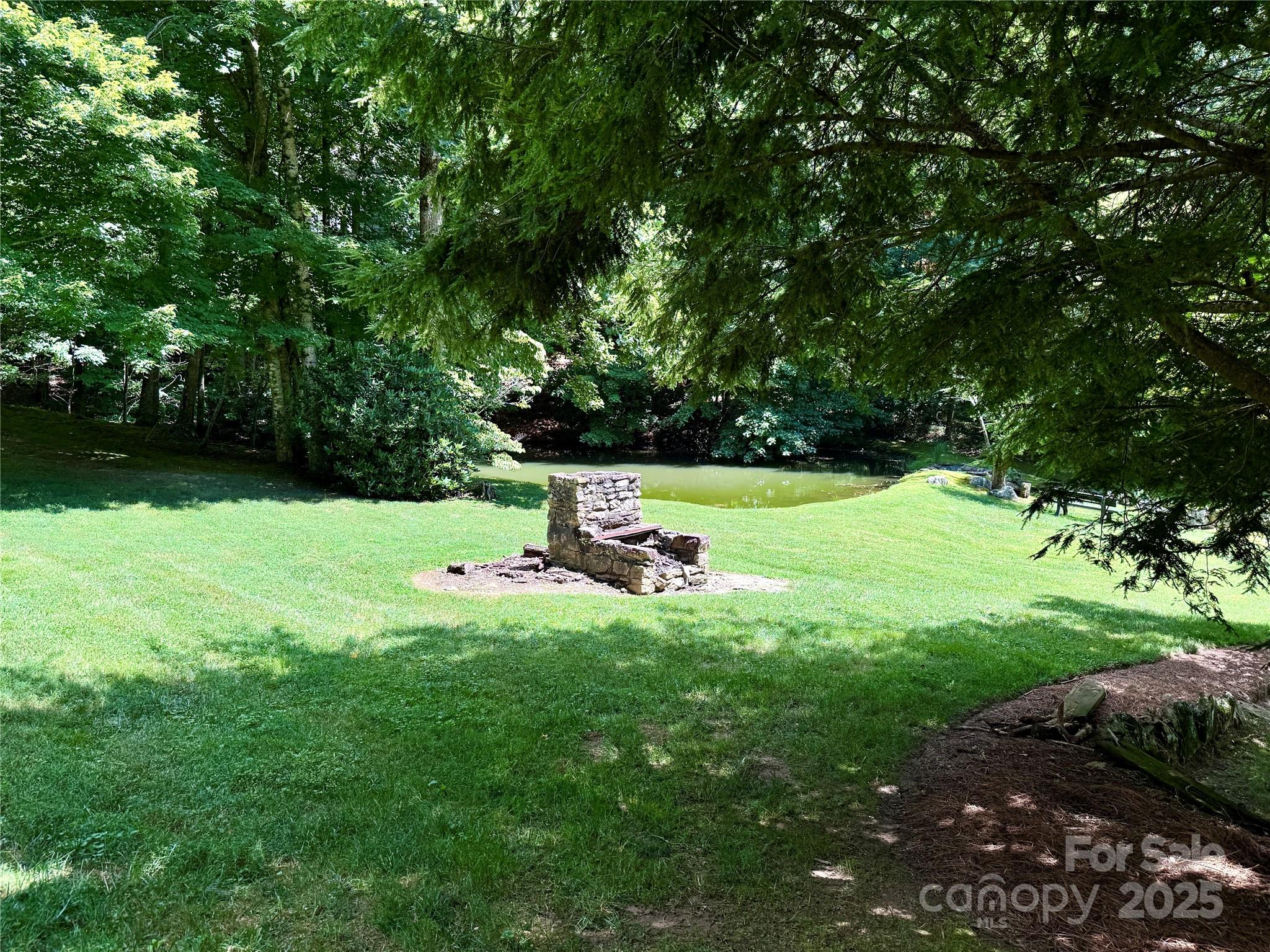 35 Ladys Fern Trail Property Photo 13