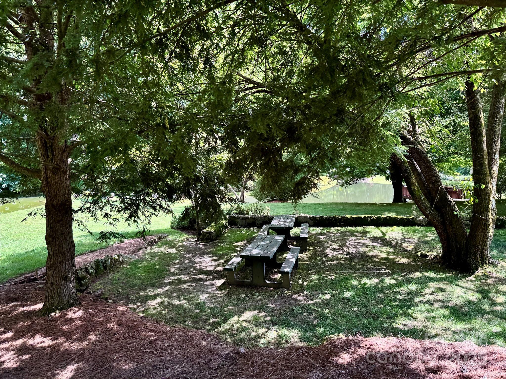 35 Ladys Fern Trail Property Photo 14