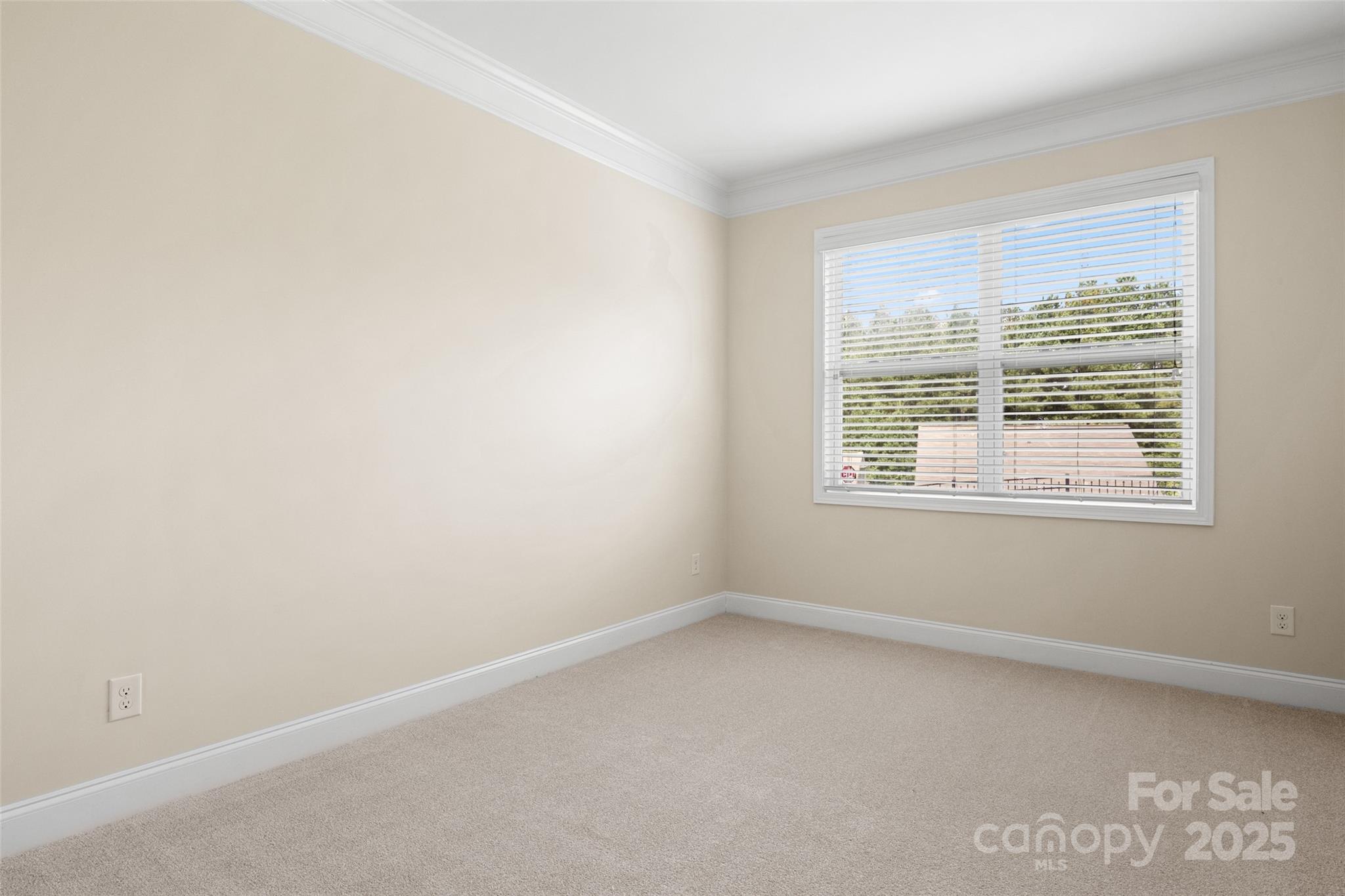 4471 Carrington Drive Property Photo 9