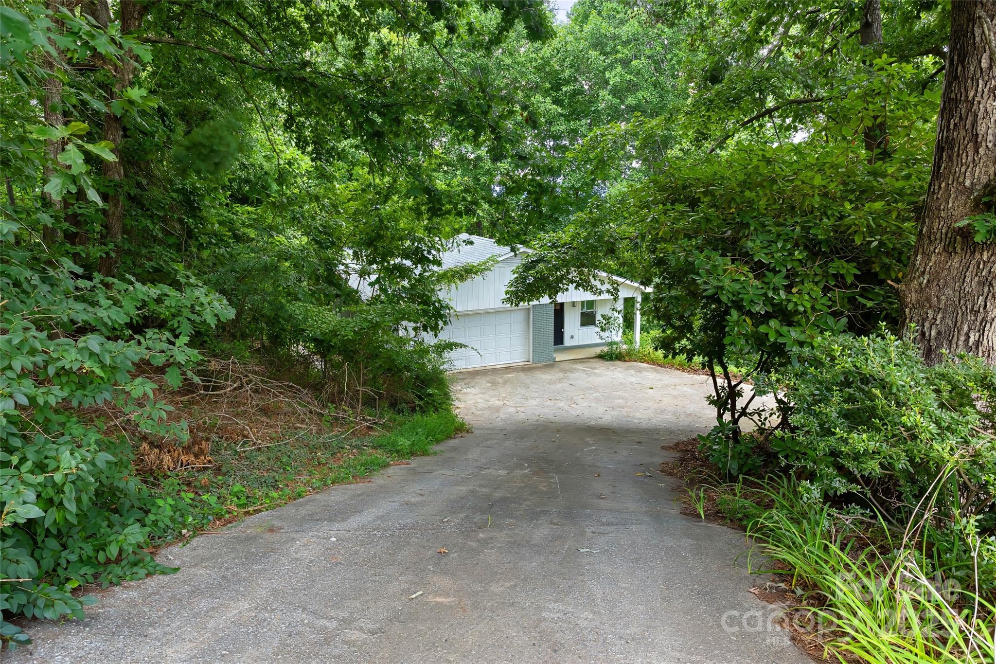 240 Spicewood Lane Property Photo 3