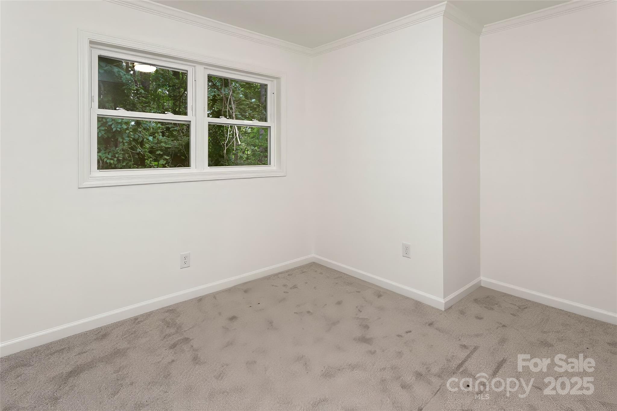 240 Spicewood Lane Property Photo 25