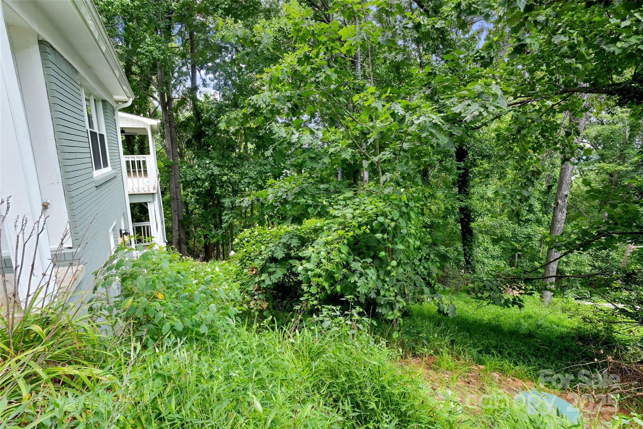 240 Spicewood Lane Property Photo 44