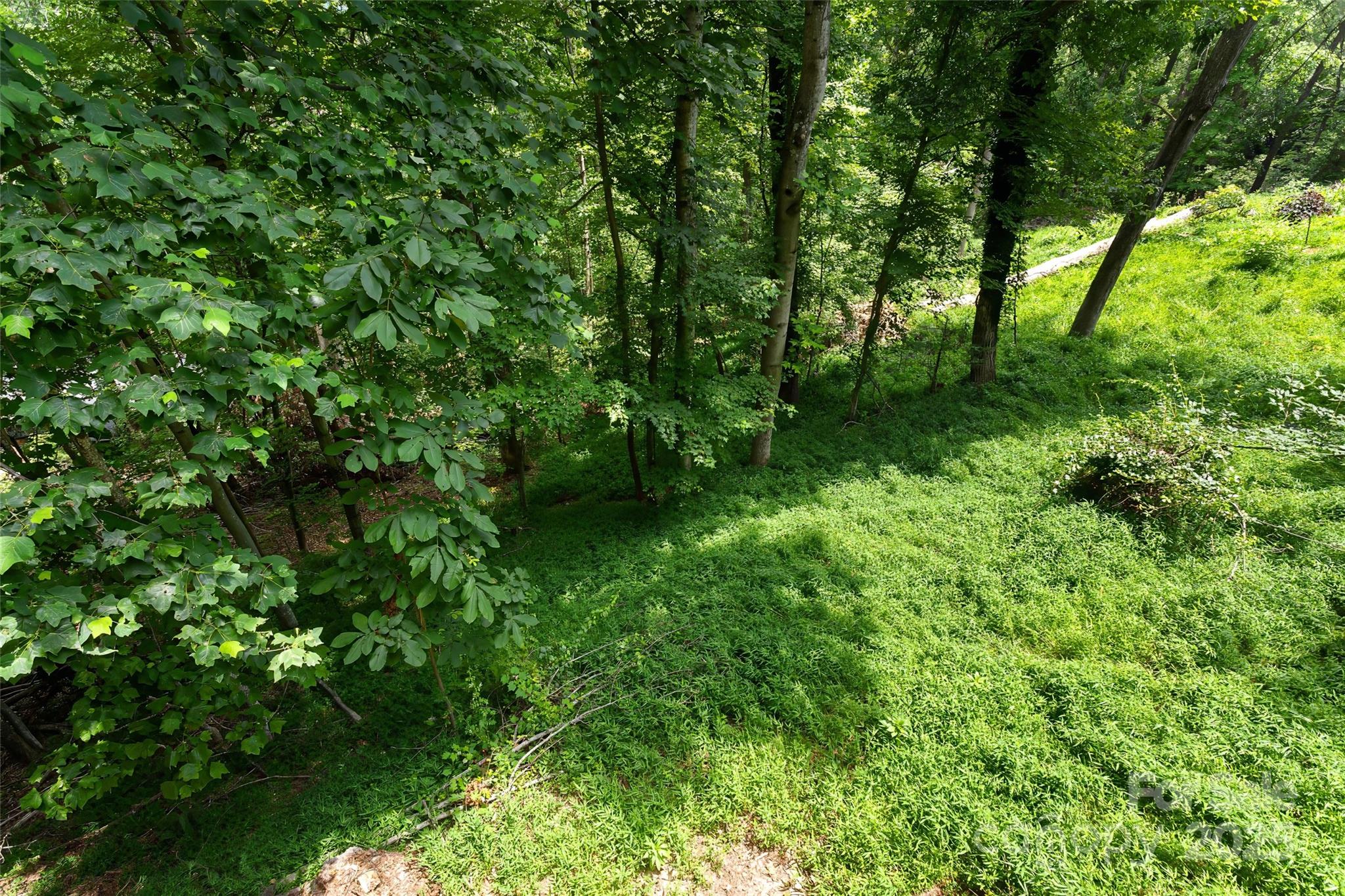240 Spicewood Lane Property Photo 45