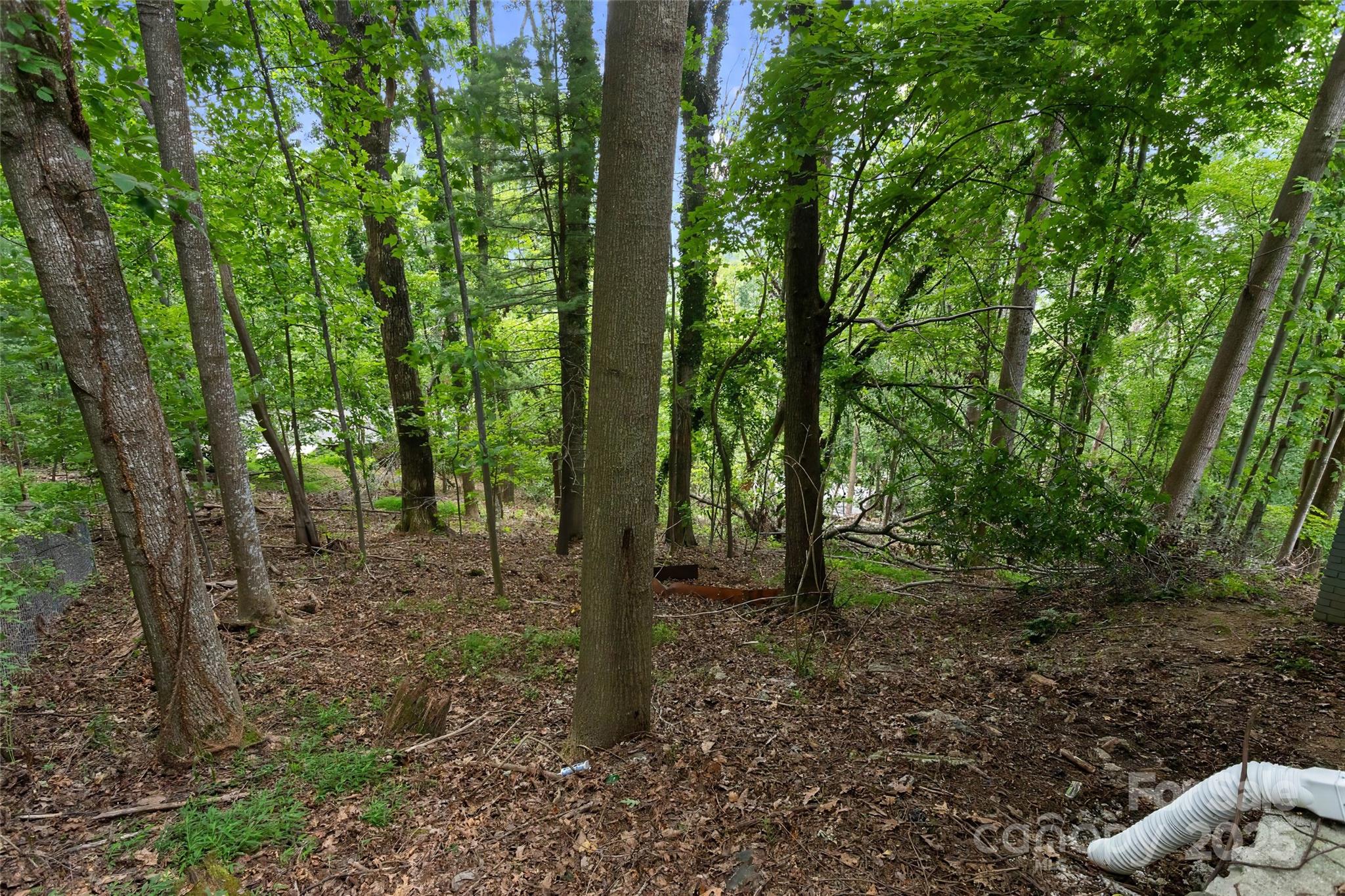 240 Spicewood Lane Property Photo 46