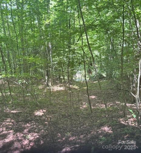 00 Macs Mountain Retreat Lane Property Photo 1