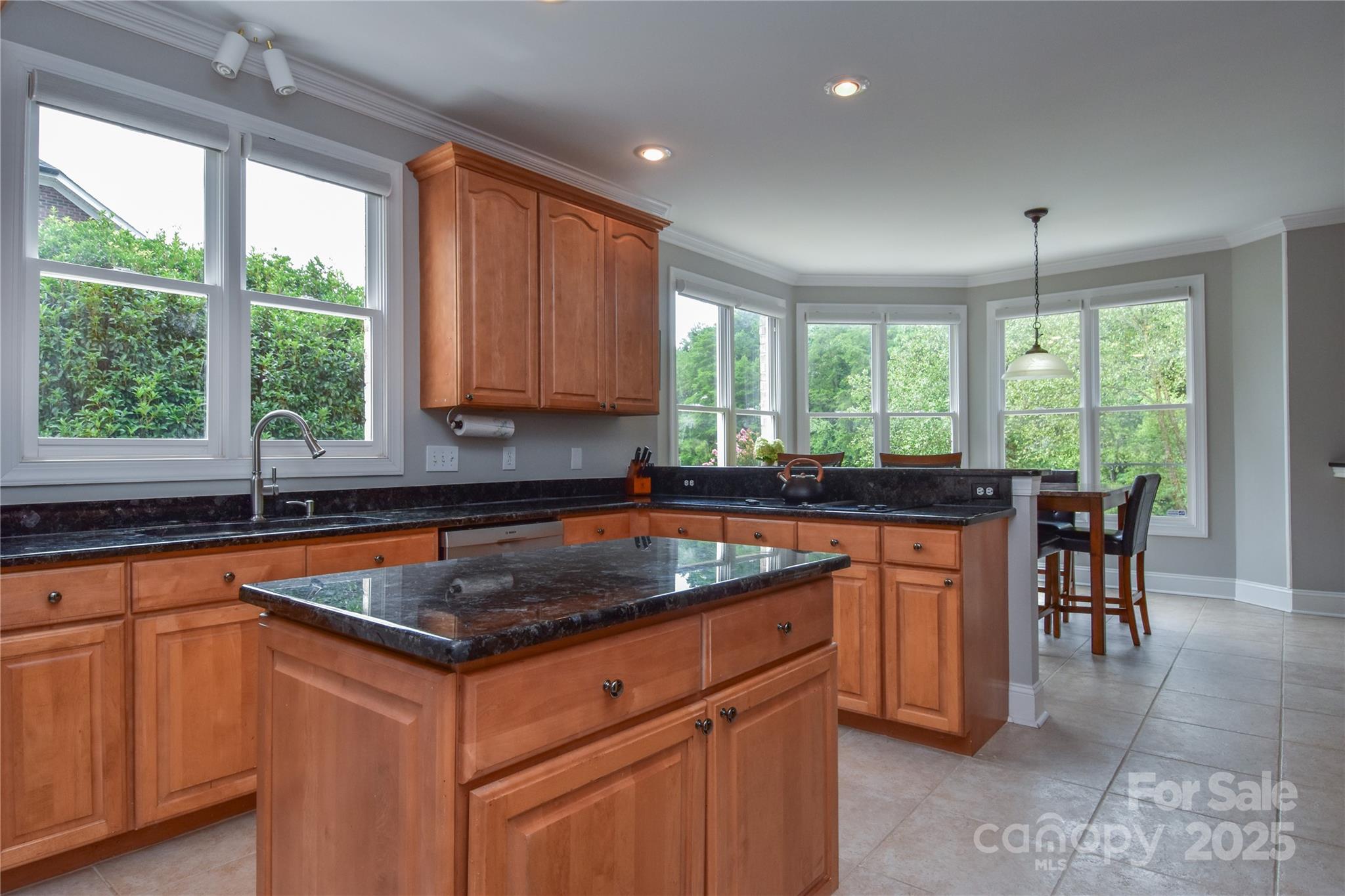 9221 Belle Pines Court Property Photo 7