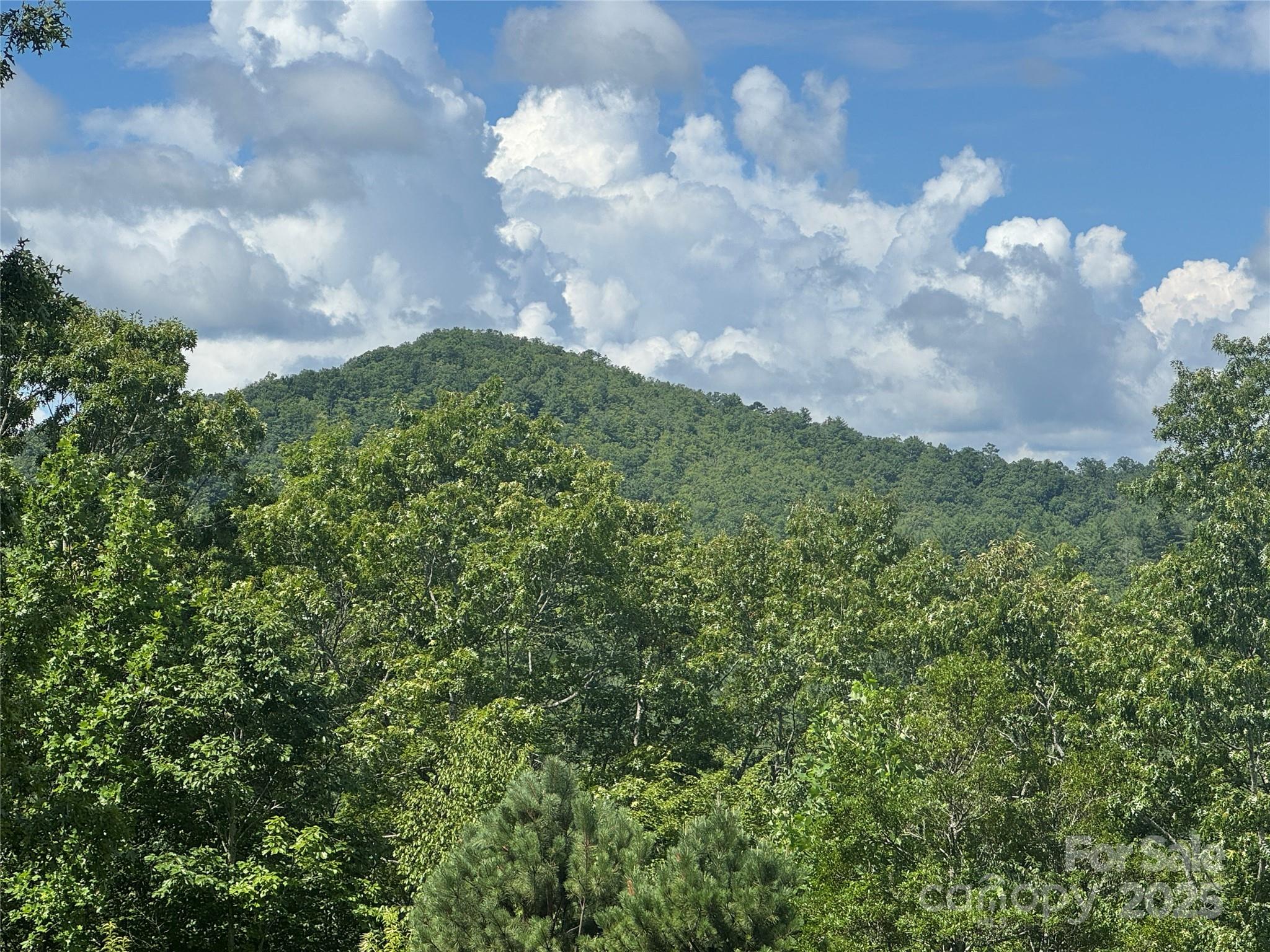 999 Ivy Lane Property Photo