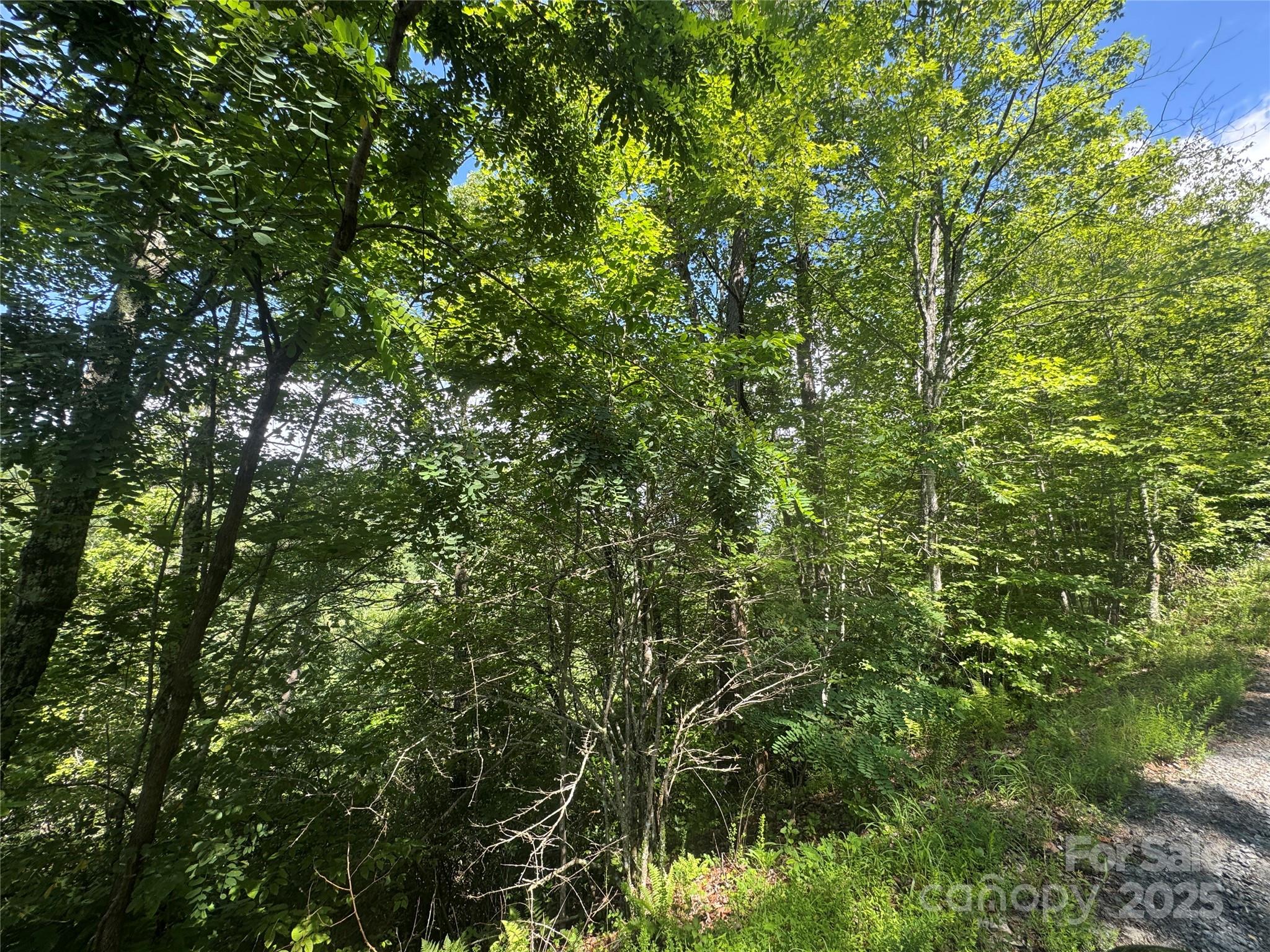 999 Ivy Lane Property Photo 11