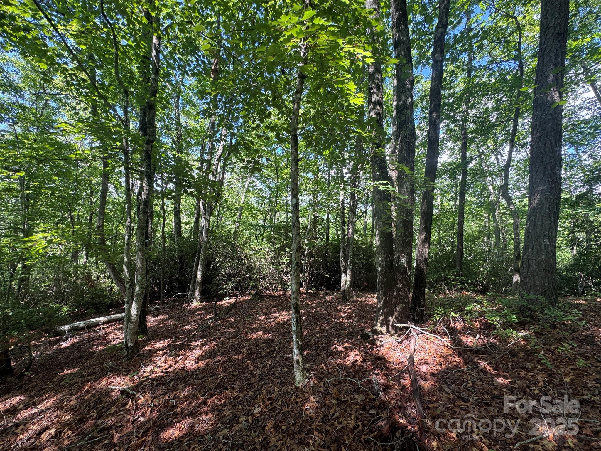 999 Ivy Lane Property Photo 13