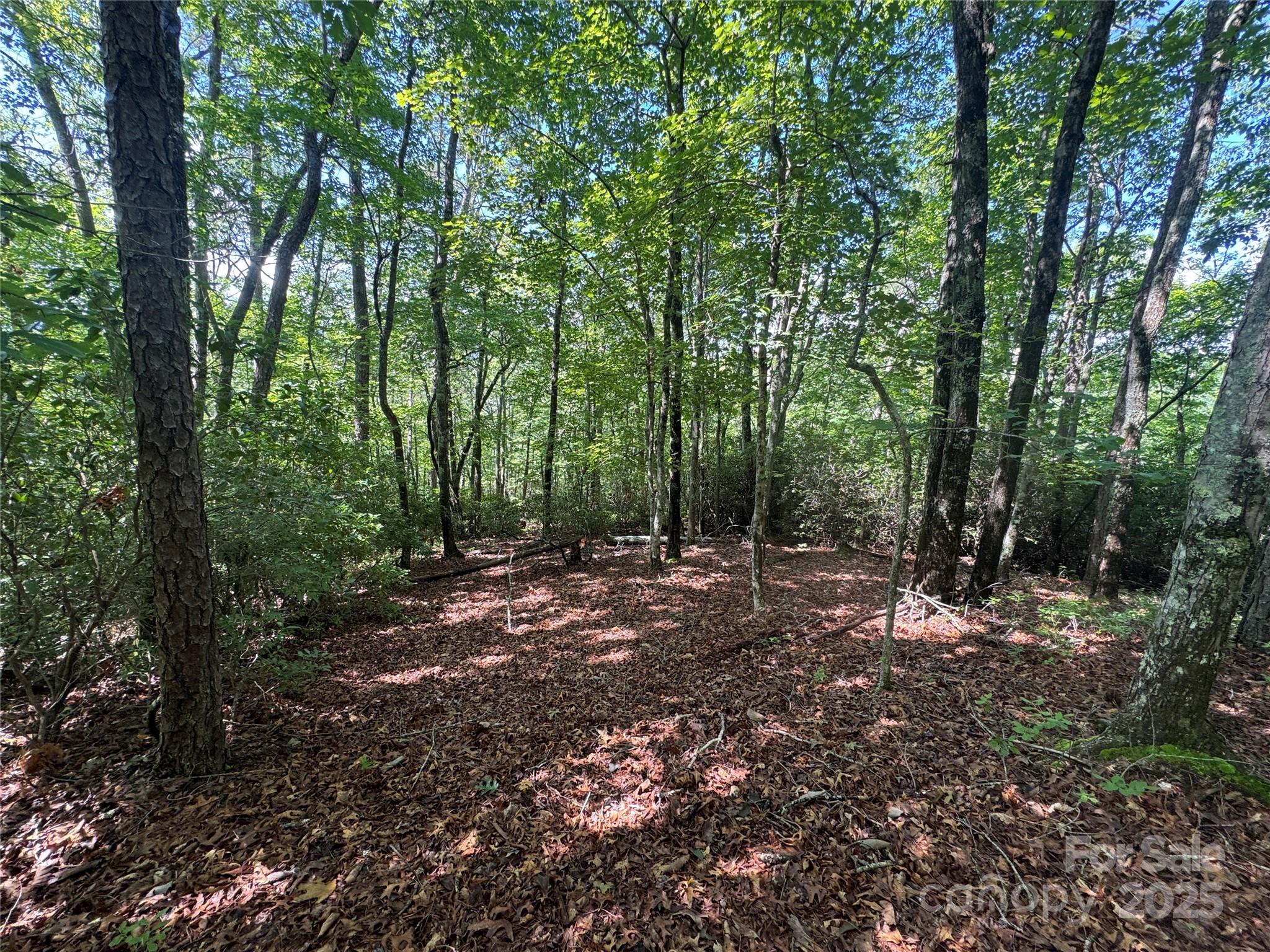 999 Ivy Lane Property Photo 14